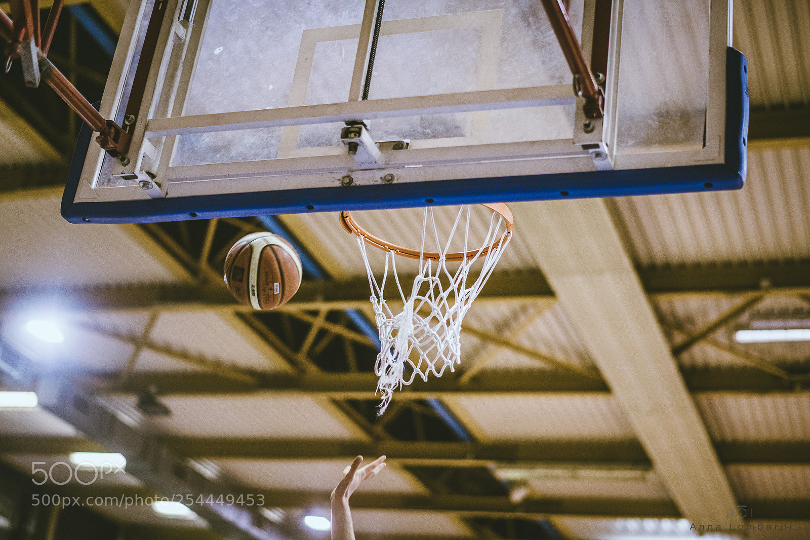 Nikon D850 sample photo. Basket photography