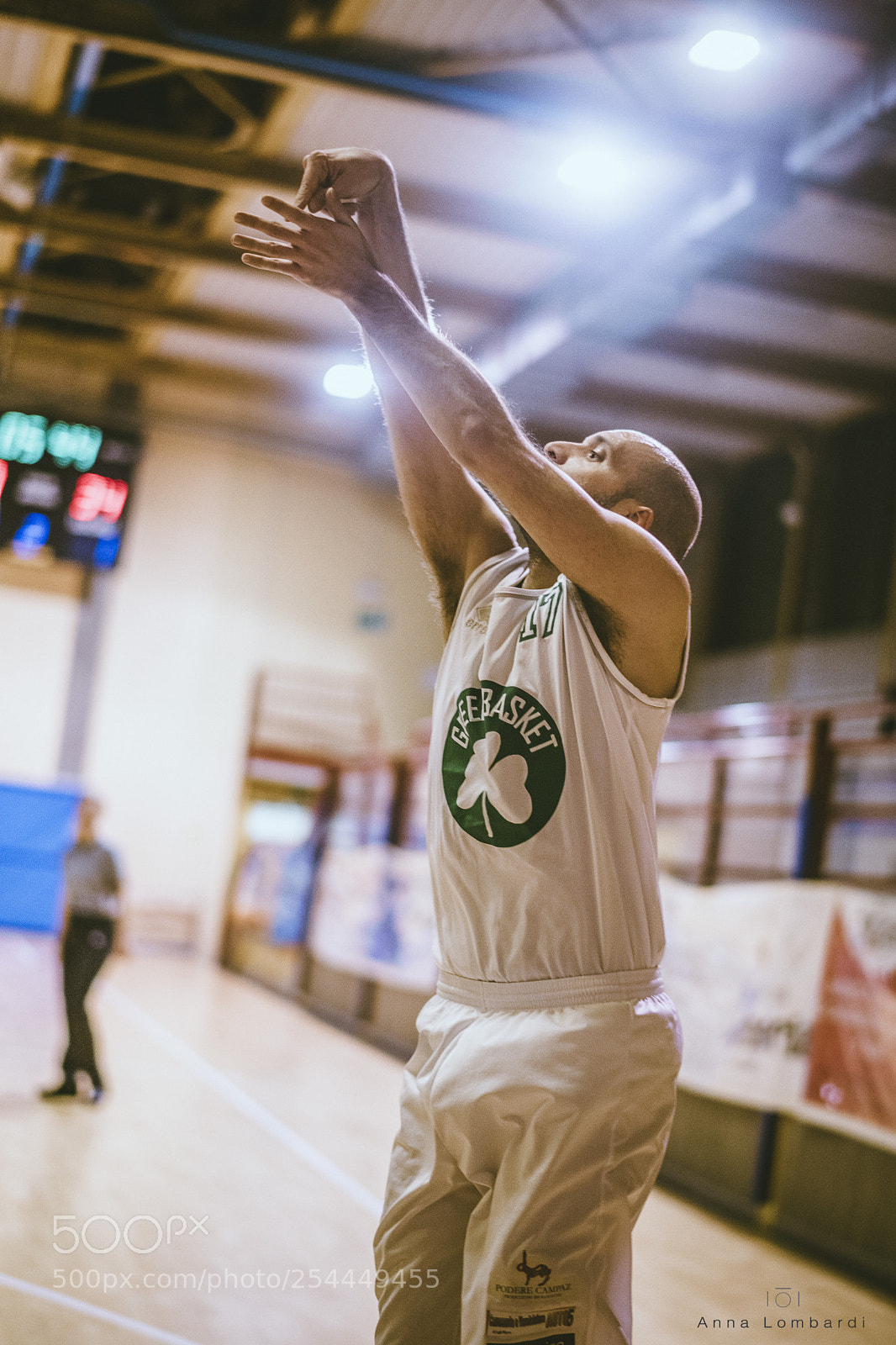 Nikon D850 sample photo. Basket photography