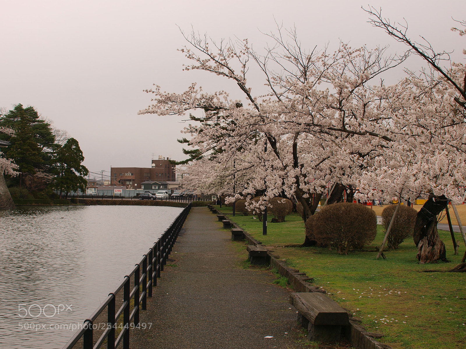 Olympus E-3 sample photo. Untitled photography