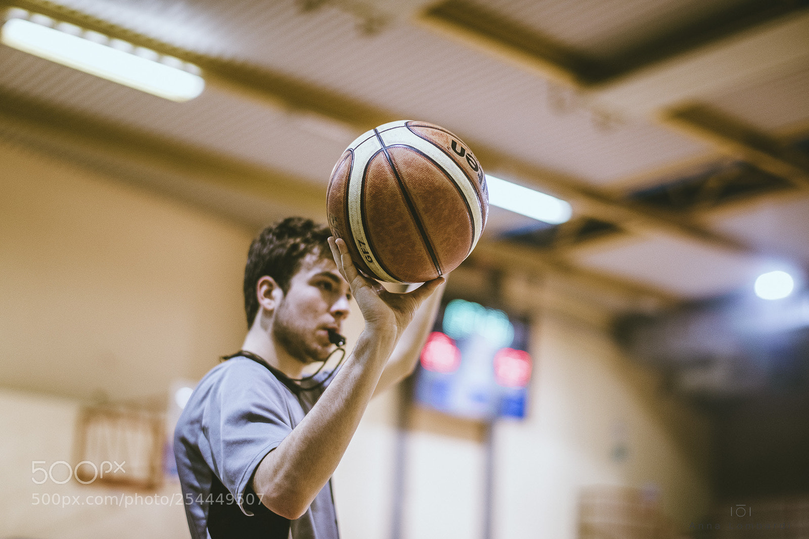 Nikon D850 sample photo. Basket photography
