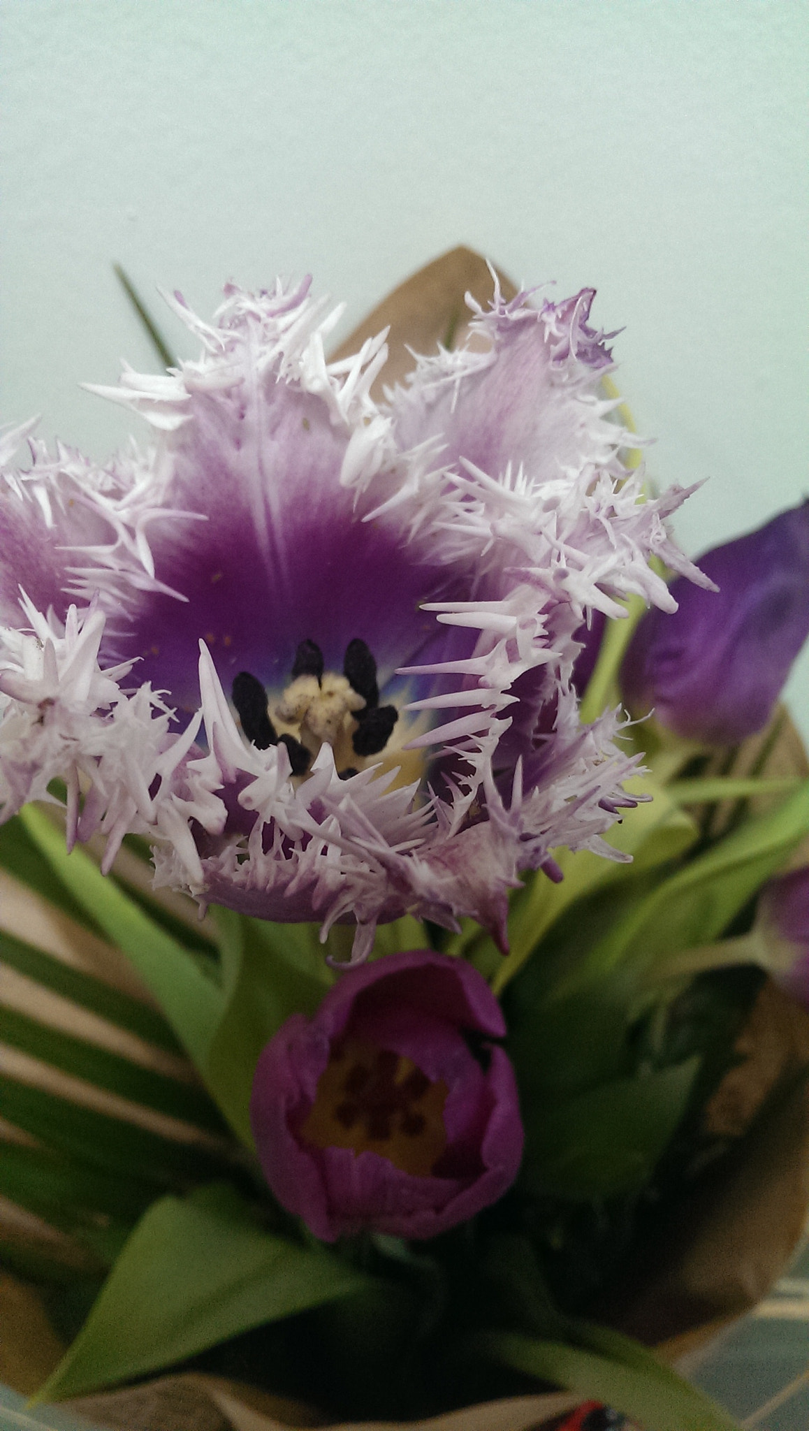 HTC ONE sample photo
