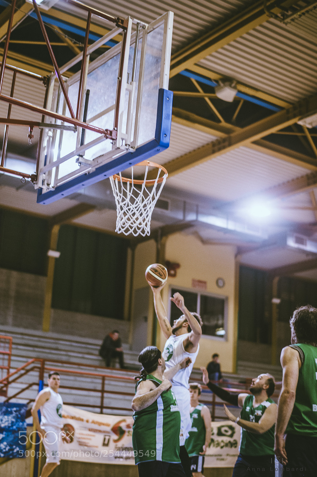 Nikon D850 sample photo. Basket photography
