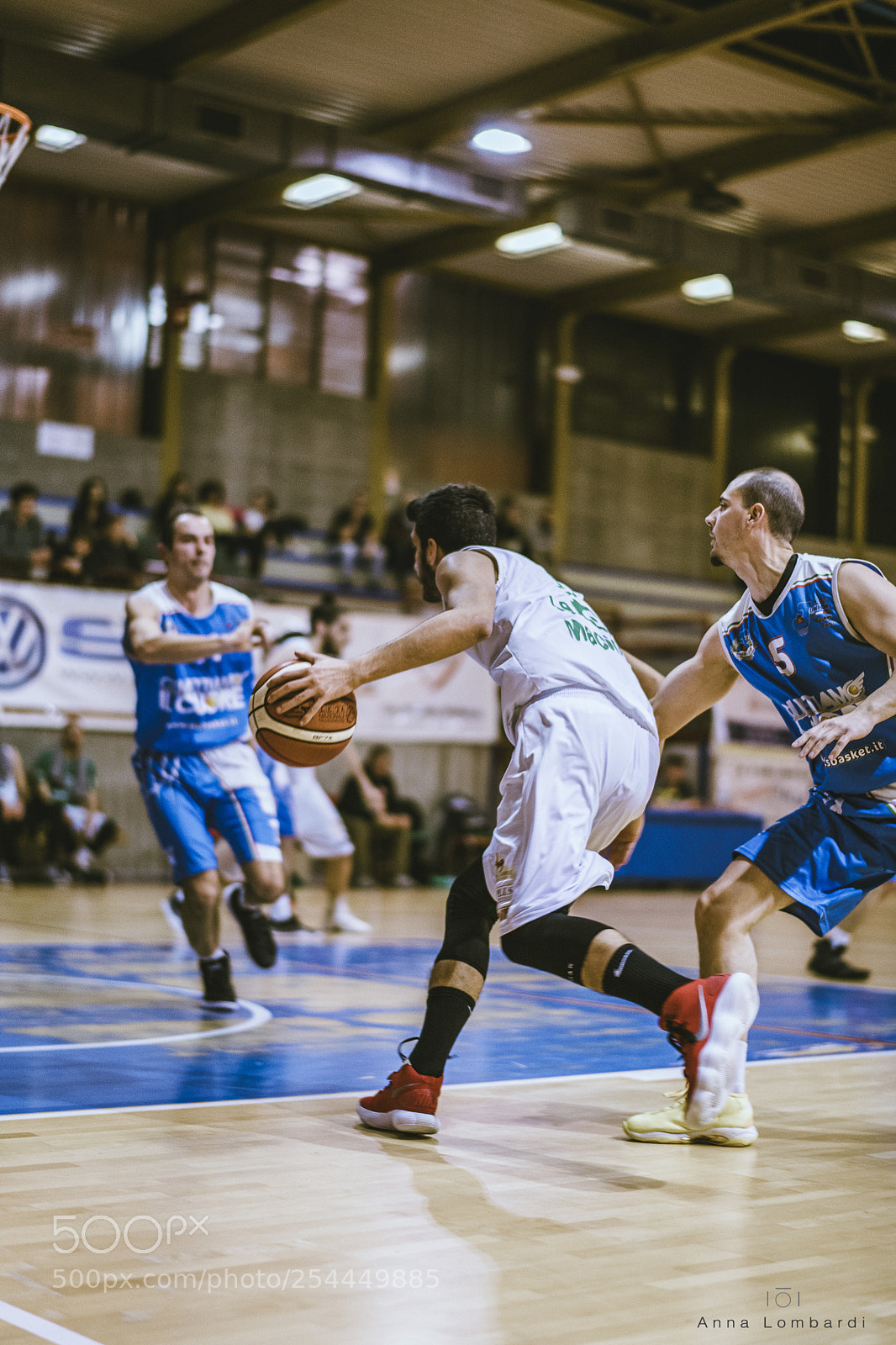 Nikon D850 sample photo. Basket photography