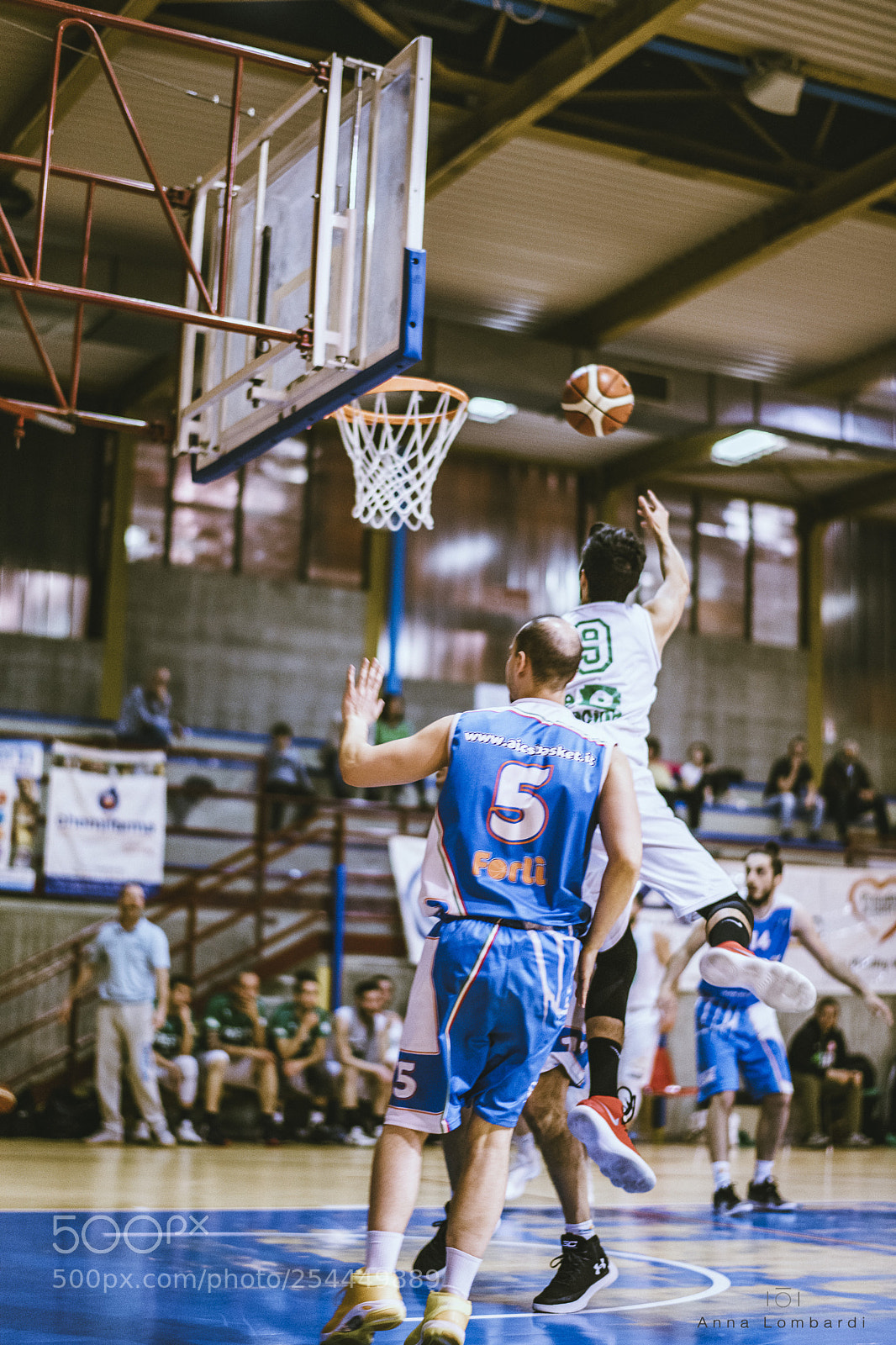 Nikon D850 sample photo. Basket photography