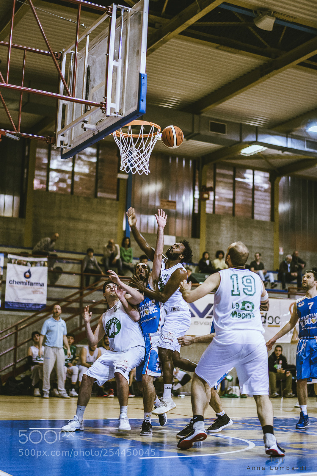 Nikon D850 sample photo. Basket photography