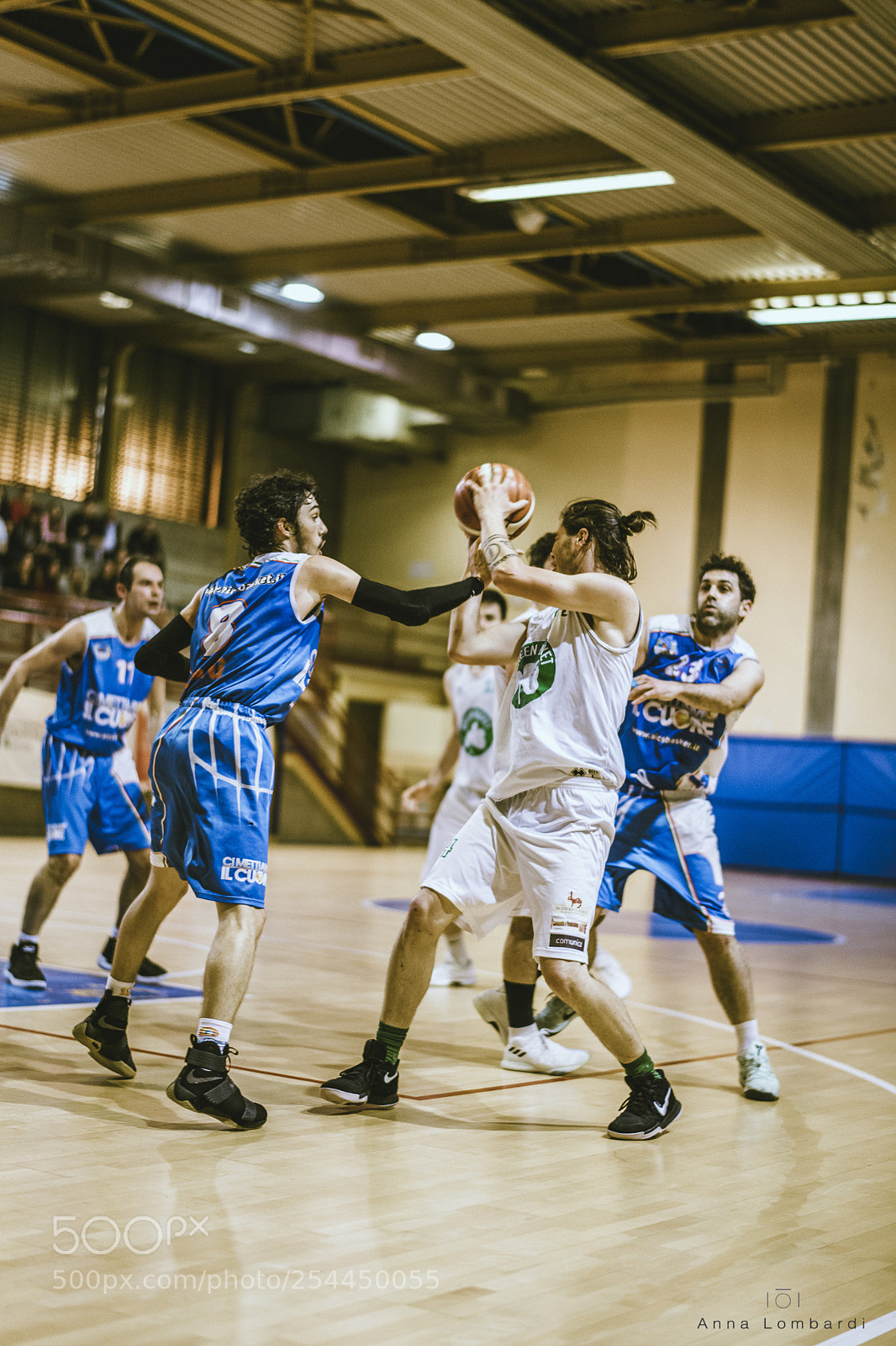 Nikon D850 sample photo. Basket photography