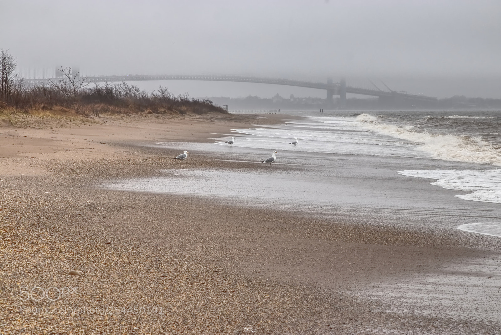 Canon EOS 80D sample photo. Tall bridge low clouds photography