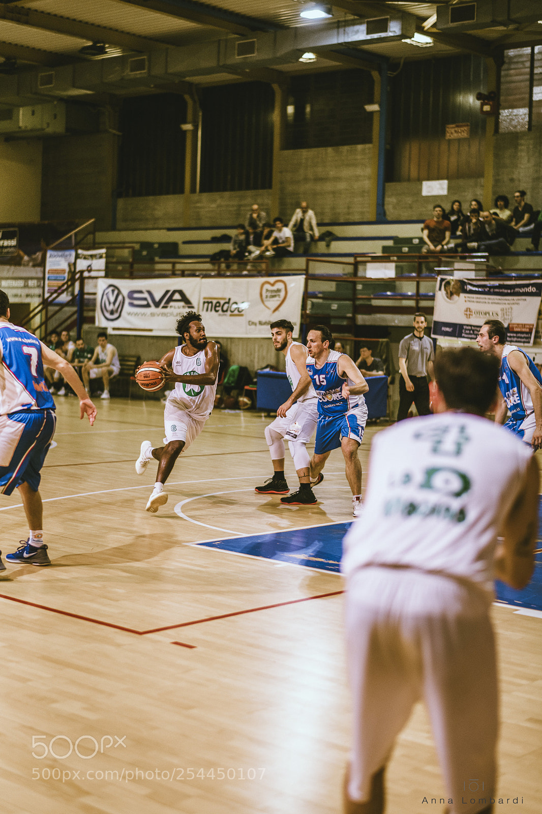Nikon D850 sample photo. Basket photography