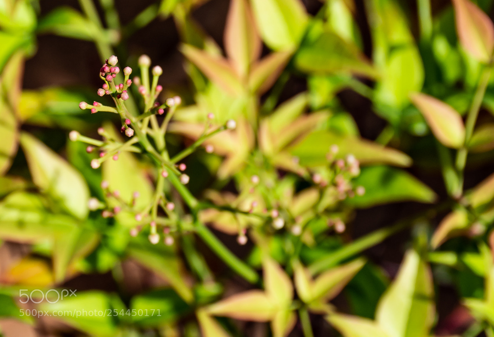 Nikon D7100 sample photo. Untitled photography