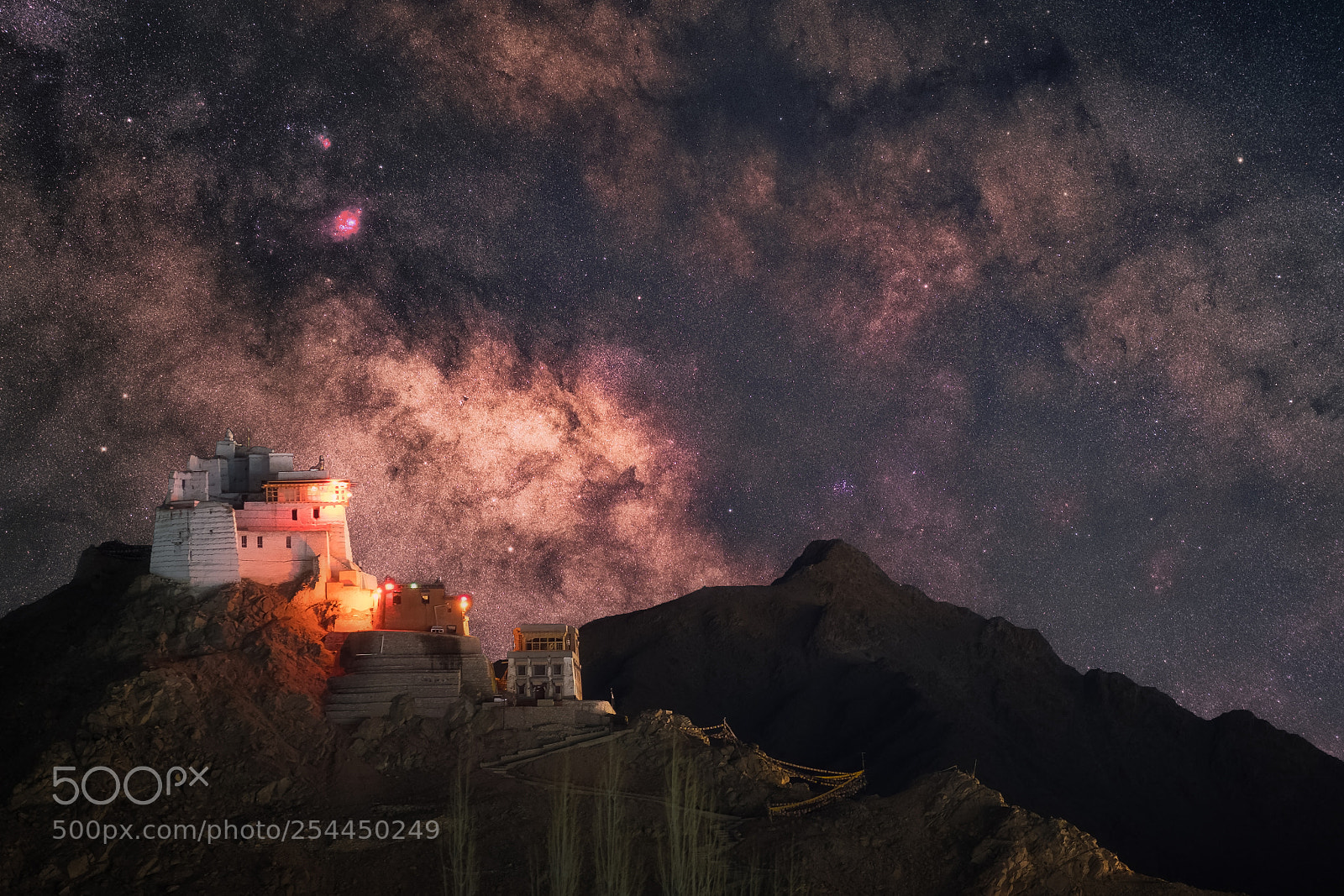Fujifilm X-H1 sample photo. Tsemo maitreya temple with photography