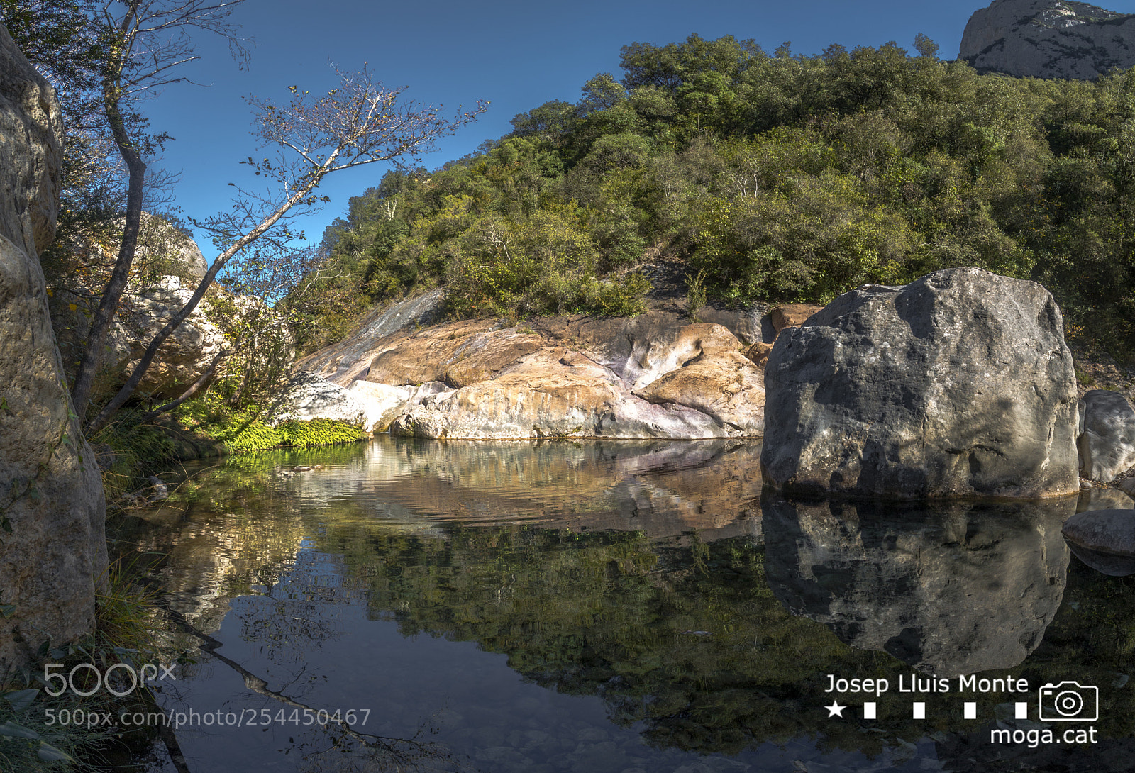 Canon EOS 70D sample photo. Water reflection photography
