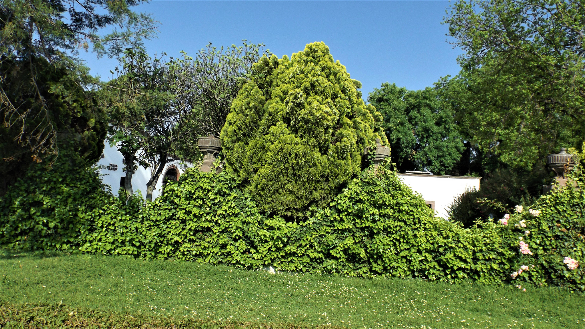 Fujifilm FinePix S4800 sample photo. Trees and bushes photography