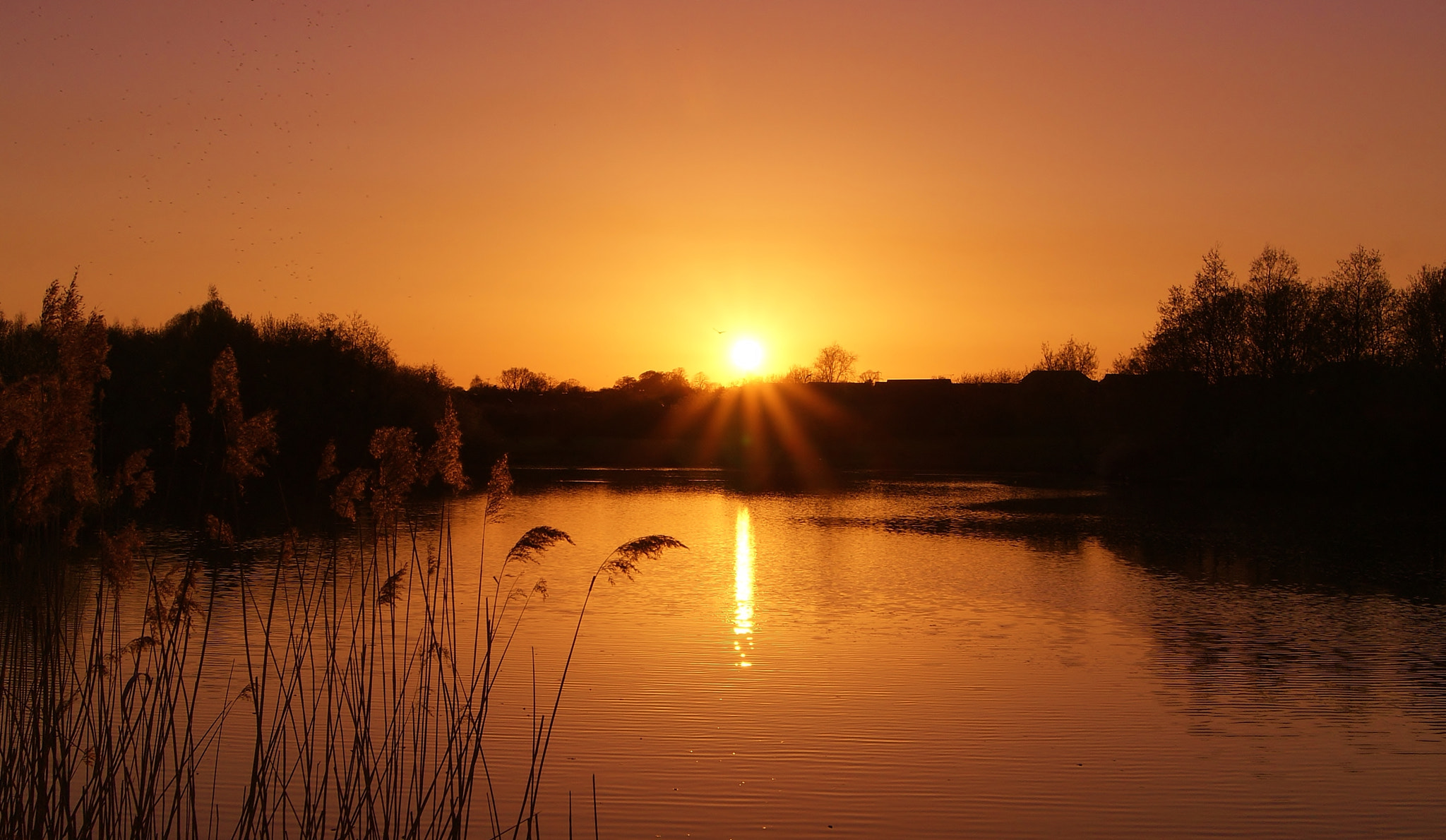 Sony Alpha DSLR-A380 sample photo. Yesterday i met this sunset .... photography