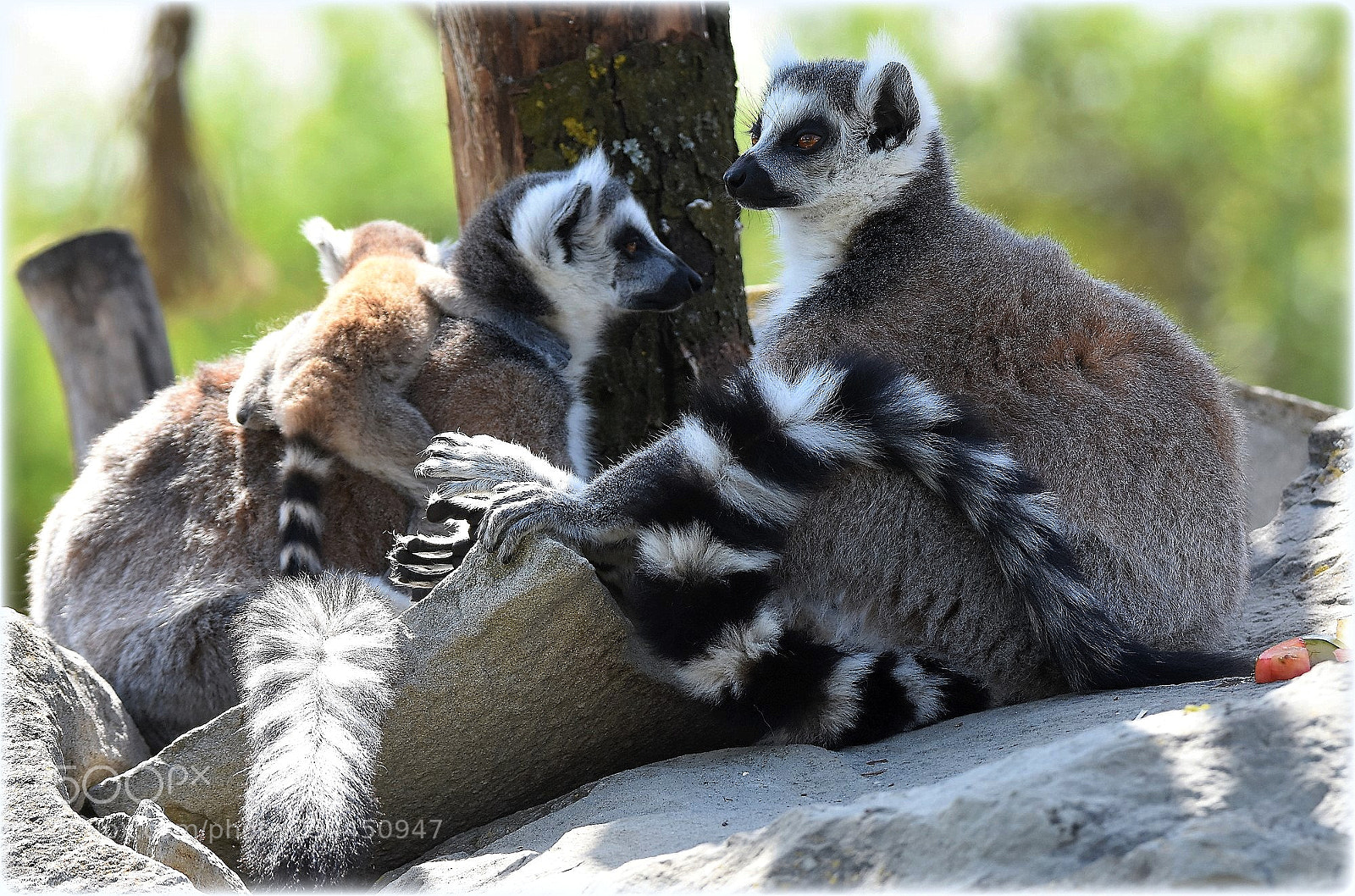 Nikon D7200 sample photo. "family" photography