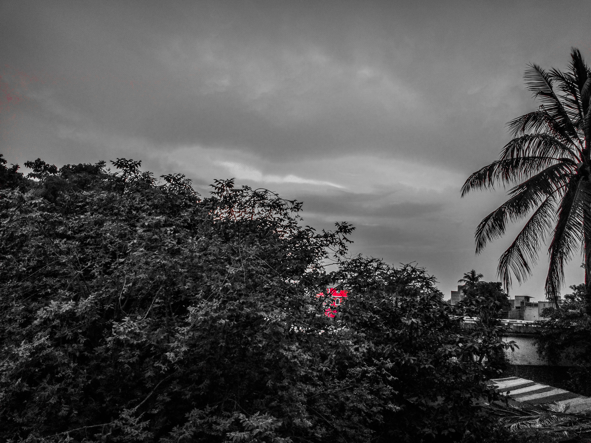 vivo 1716 sample photo. Life begins photography
