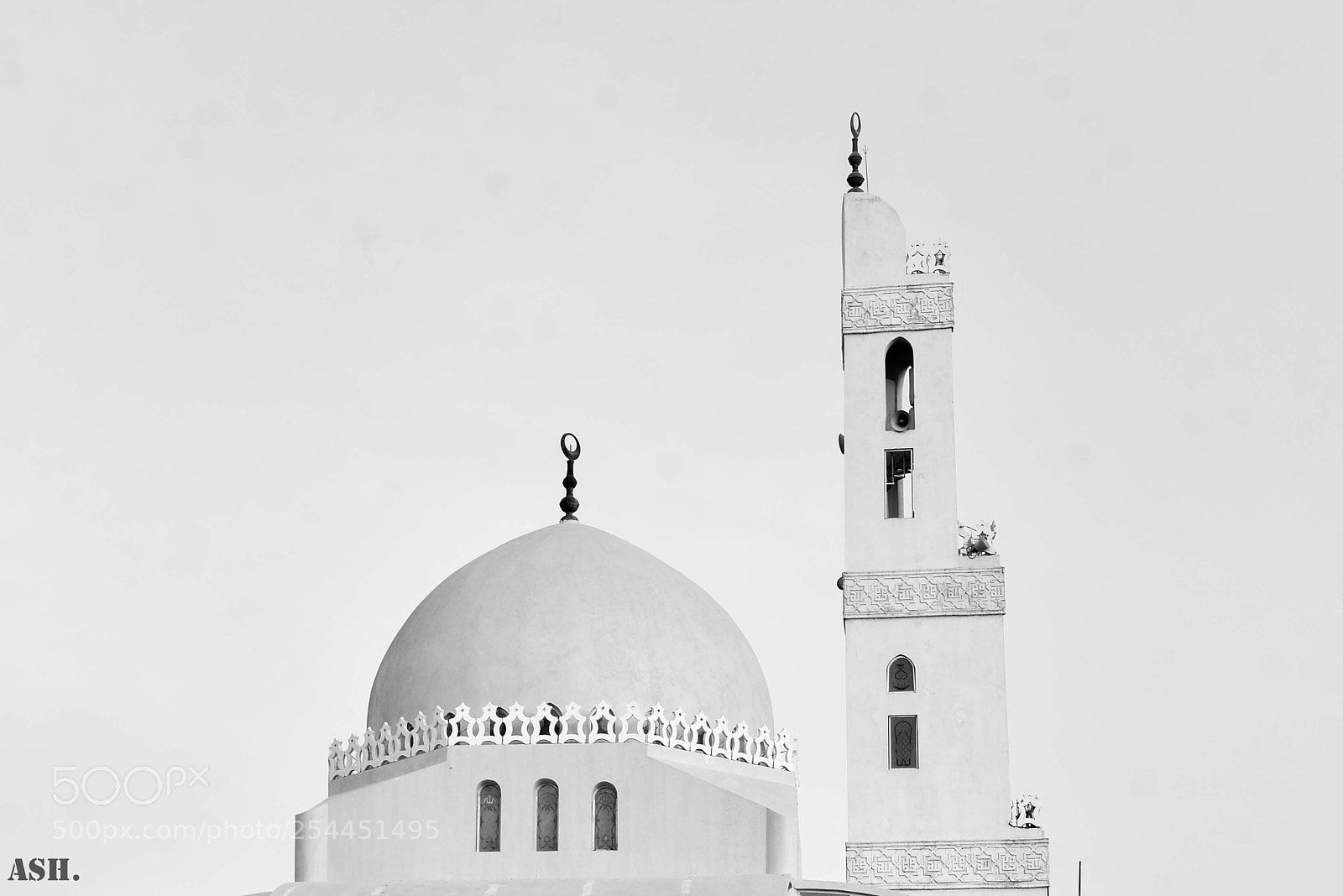 Nikon D600 sample photo. Untitled photography