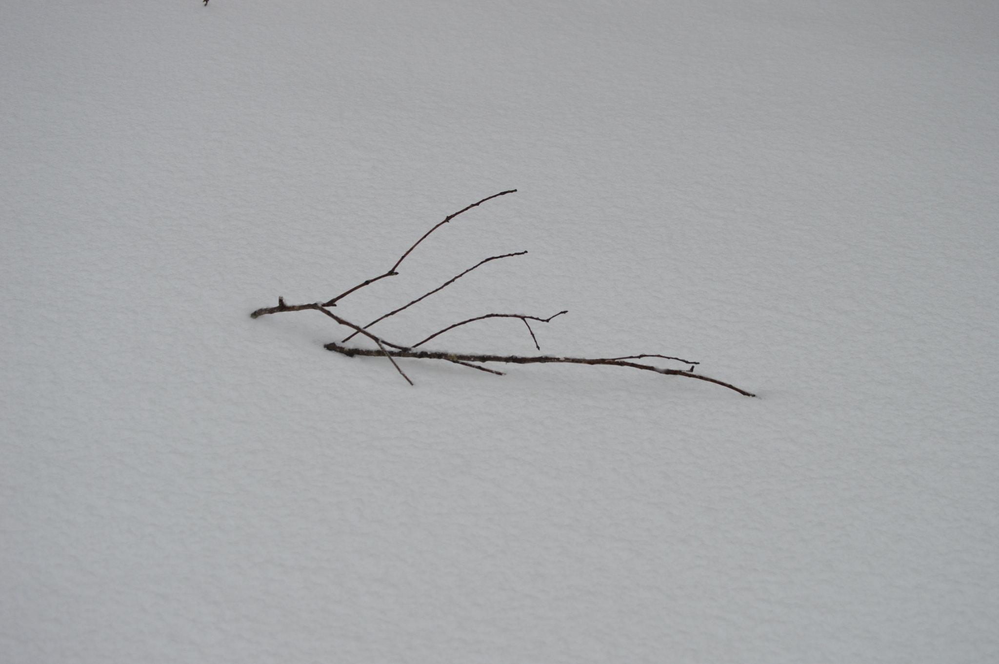 Nikon D3200 sample photo. () photography