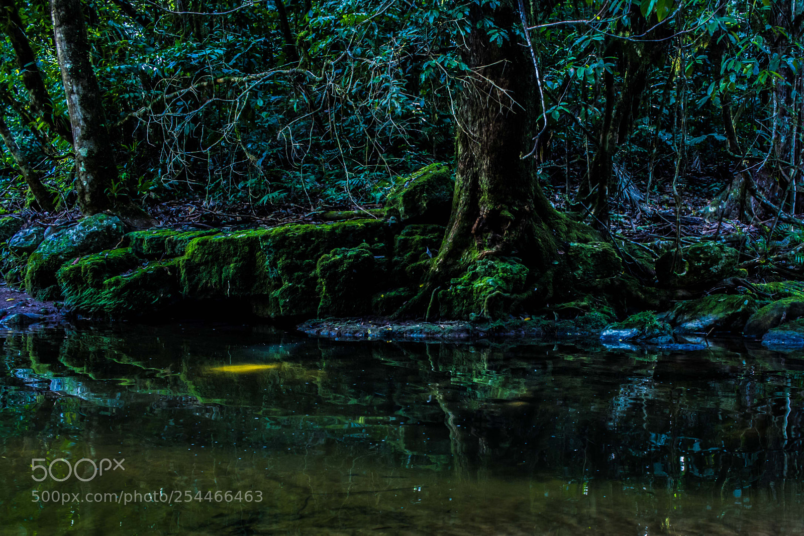 Canon EOS 7D sample photo. Real fantasy photography