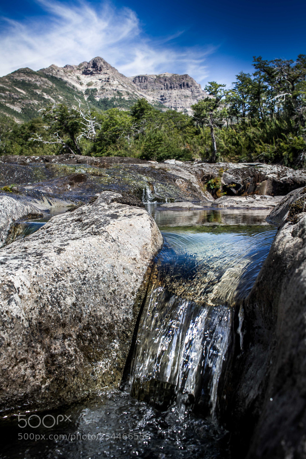 Canon EOS 7D sample photo. Tportorelli photography