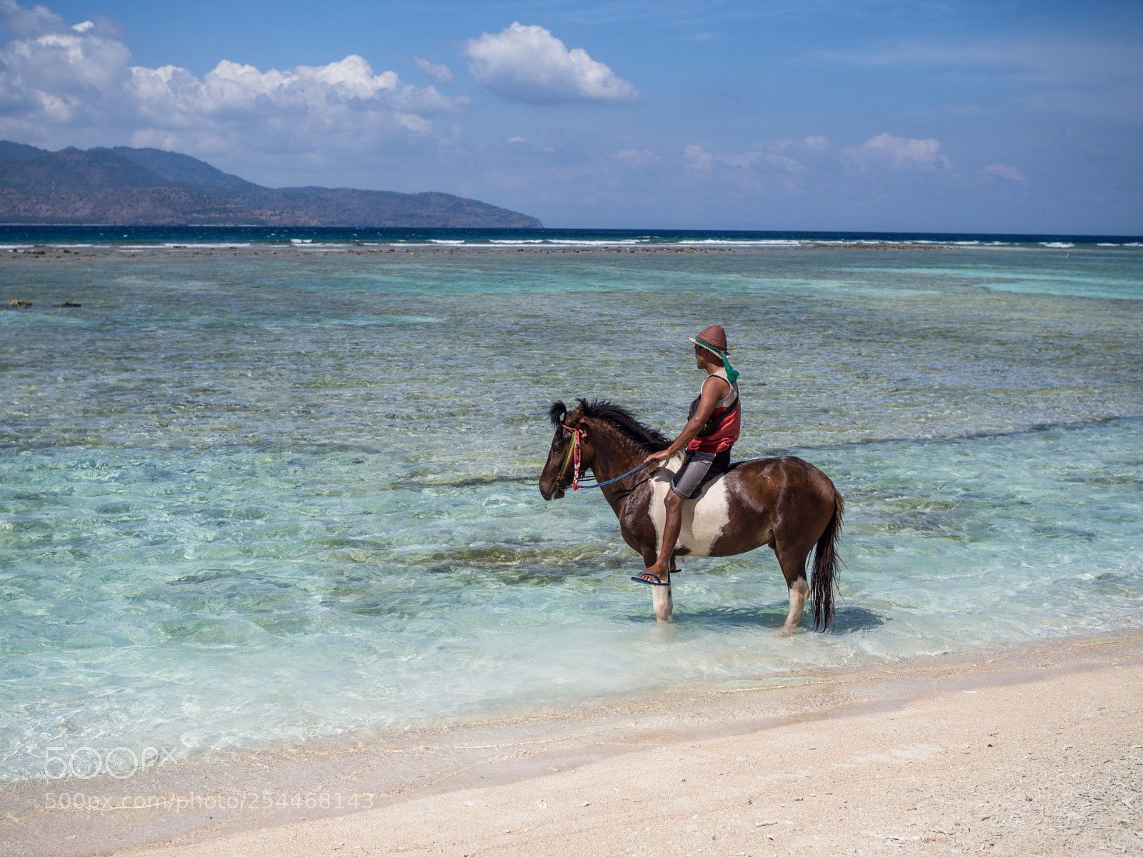 Olympus OM-D E-M10 sample photo. Bali, indonesia photography