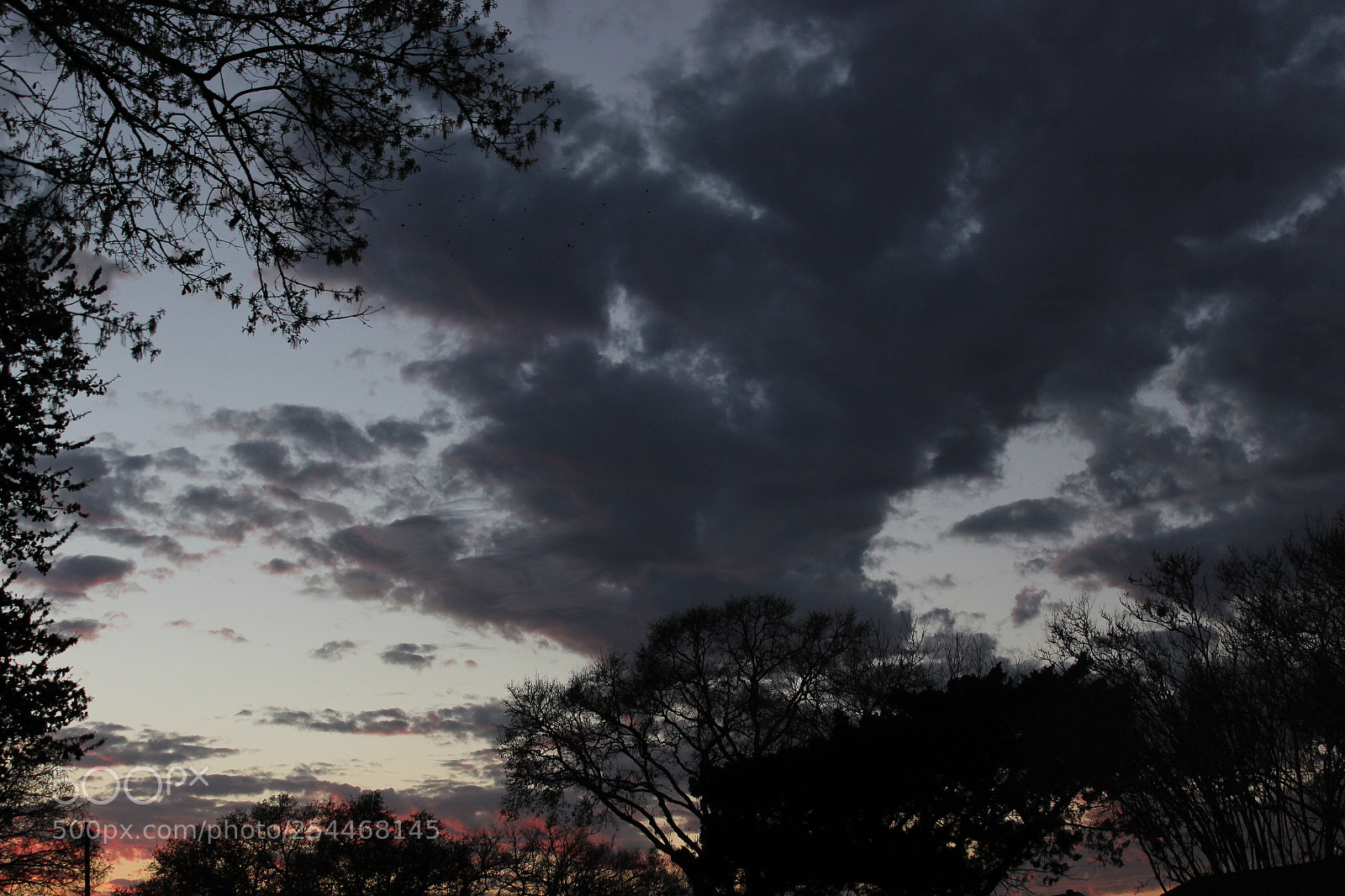 Canon EOS 600D (Rebel EOS T3i / EOS Kiss X5) sample photo. Sunset over the pearl photography