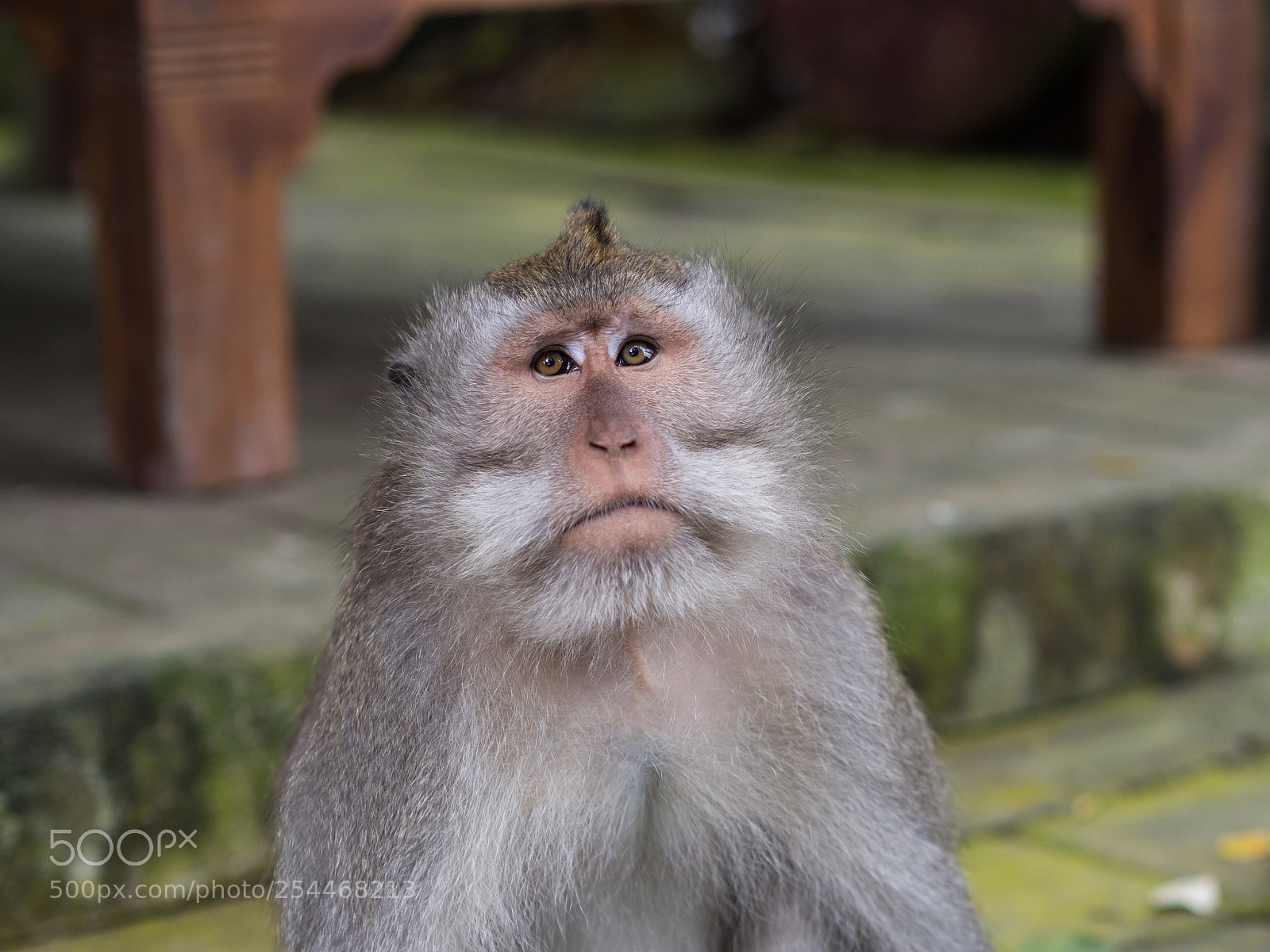 Olympus OM-D E-M10 sample photo. Bali, indonesia photography