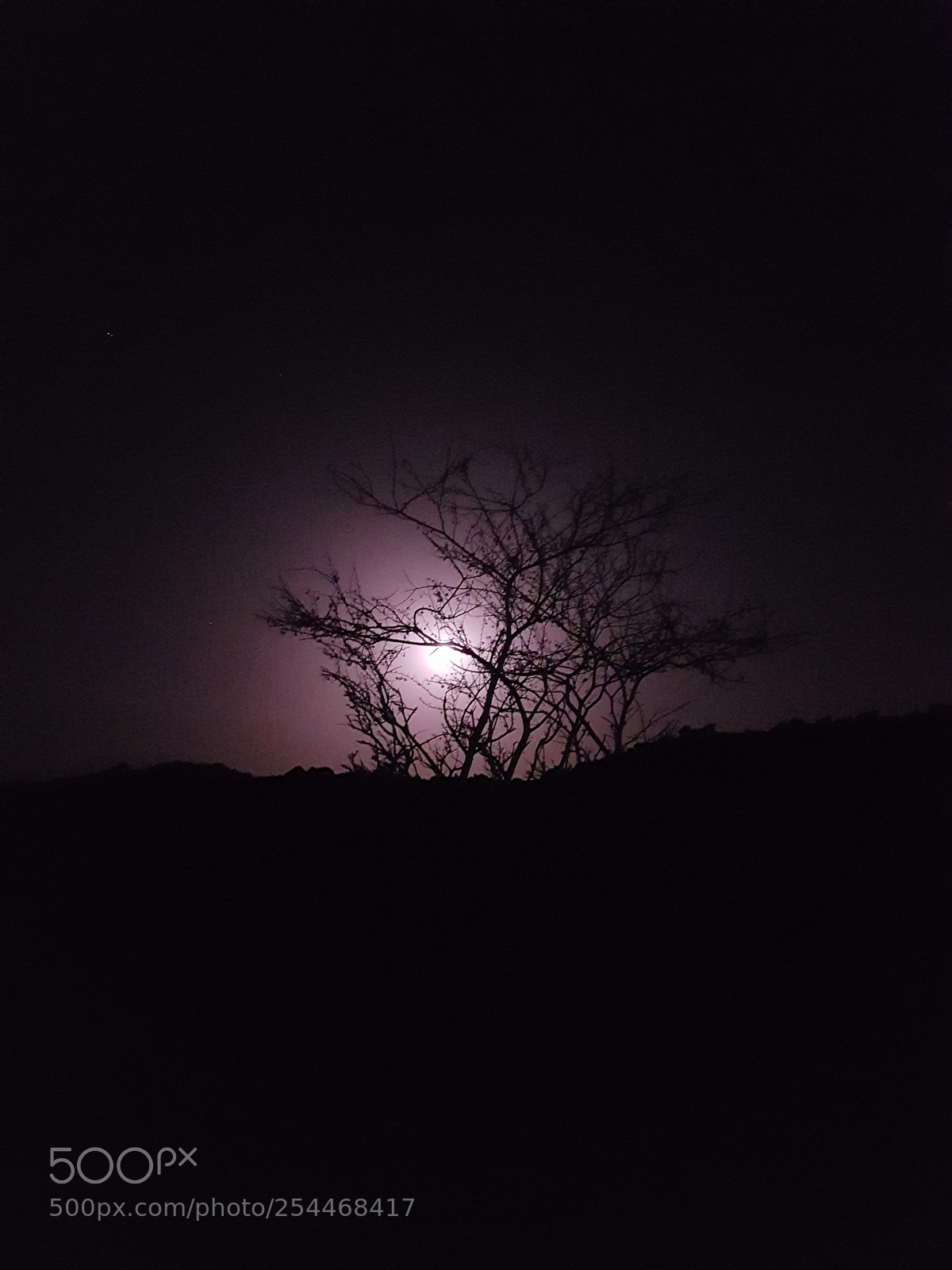 Samsung Galaxy S7 Edge sample photo. Untitled photography