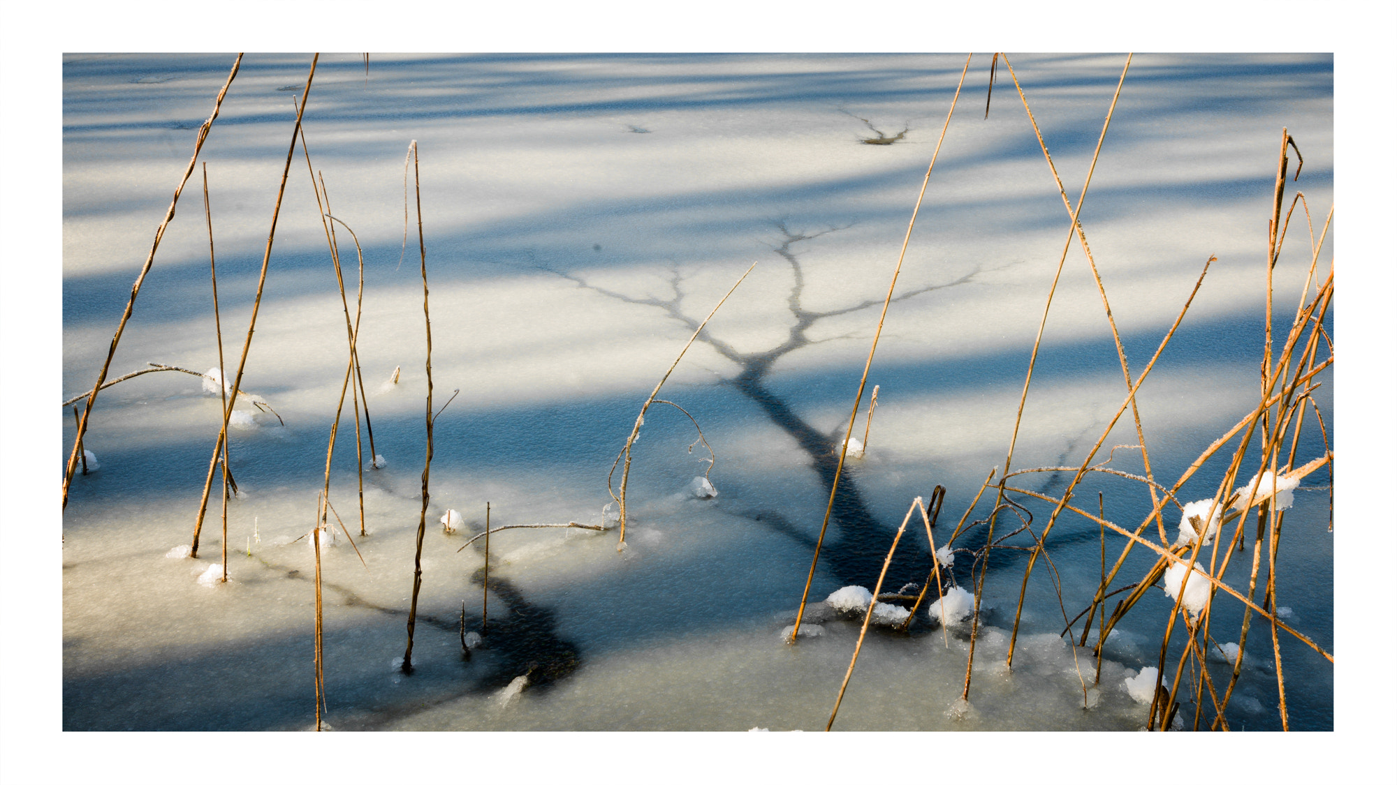 Hasselblad H4D sample photo. The thin ice photography
