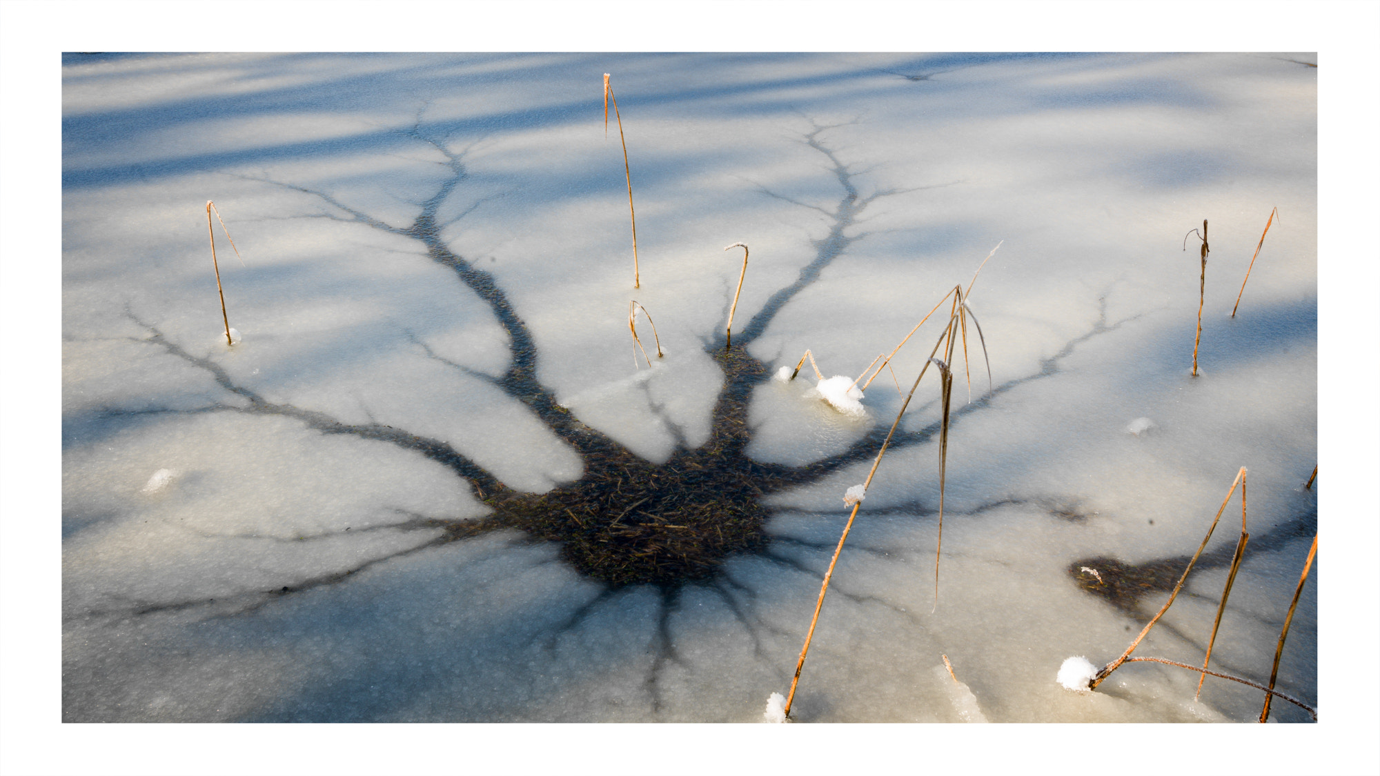 Hasselblad H4D sample photo. The thin ice photography