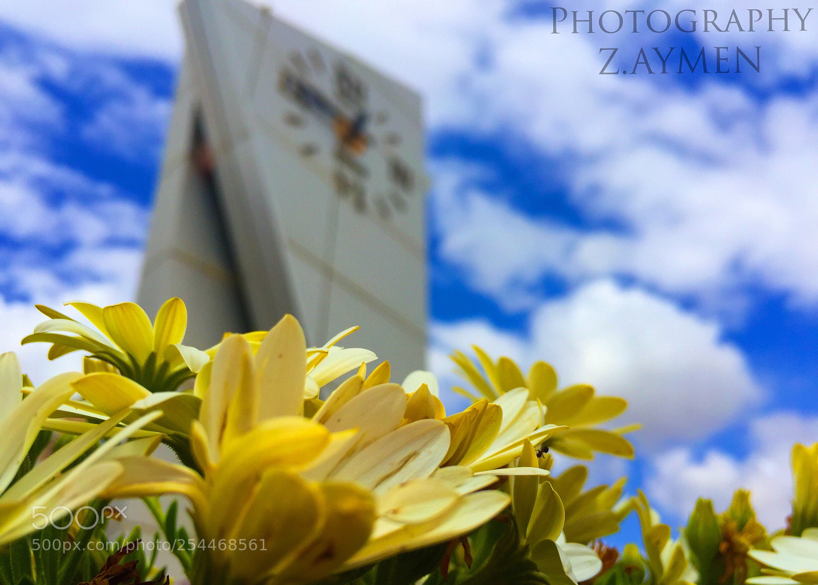 Apple iPhone 6 sample photo. Nature photography