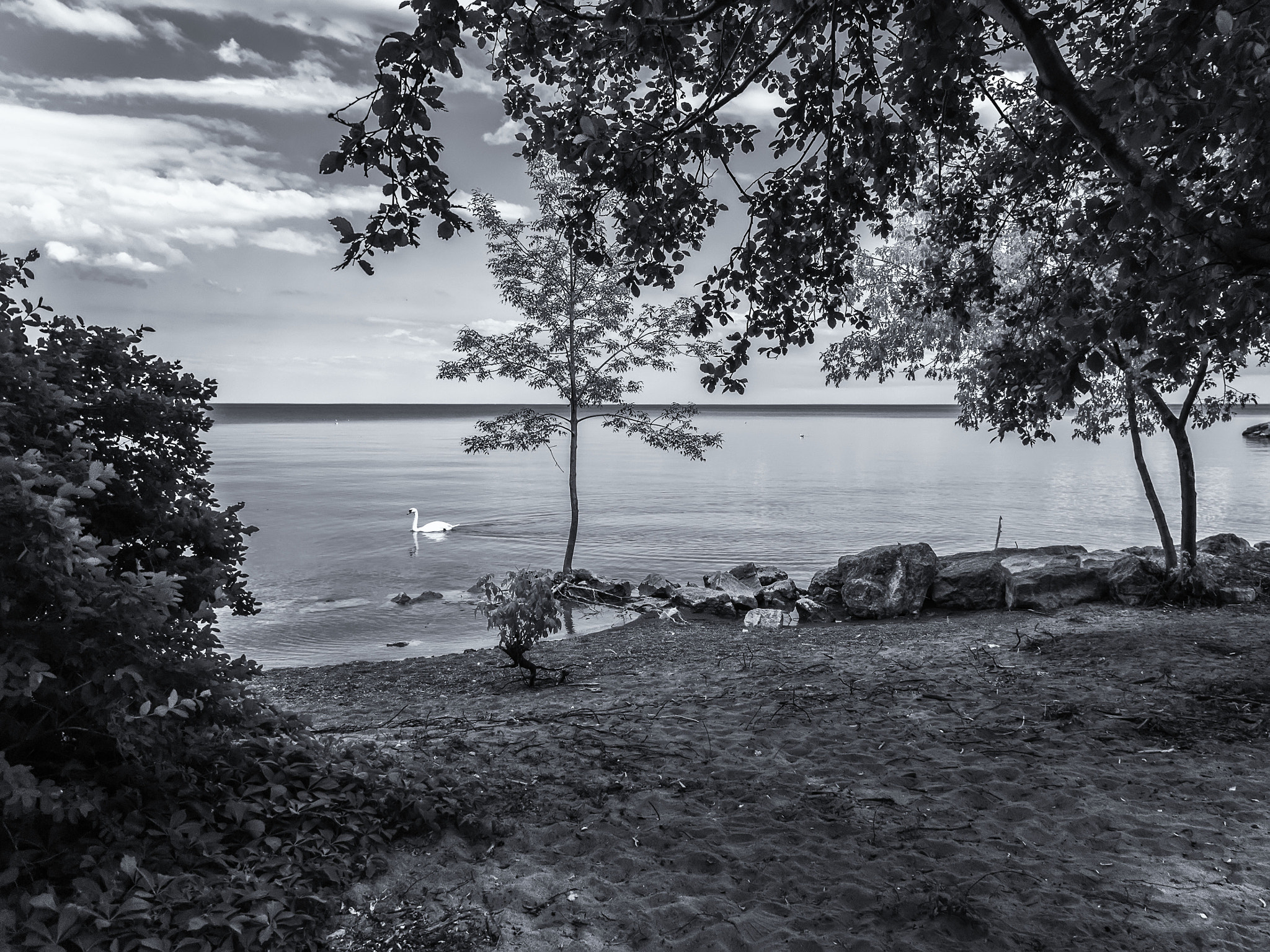 Canon PowerShot G10 sample photo. Jack darling-park photography