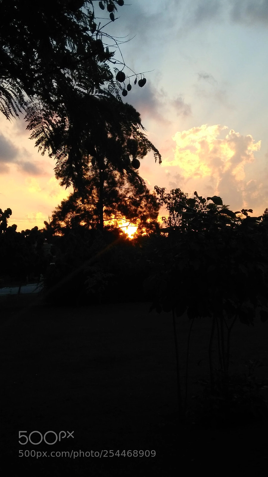 Xiaomi Redmi 4 Pro sample photo. Sky and sun ? photography