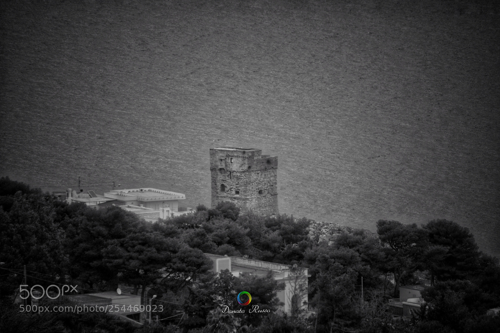 Nikon D5200 sample photo. Untitled photography