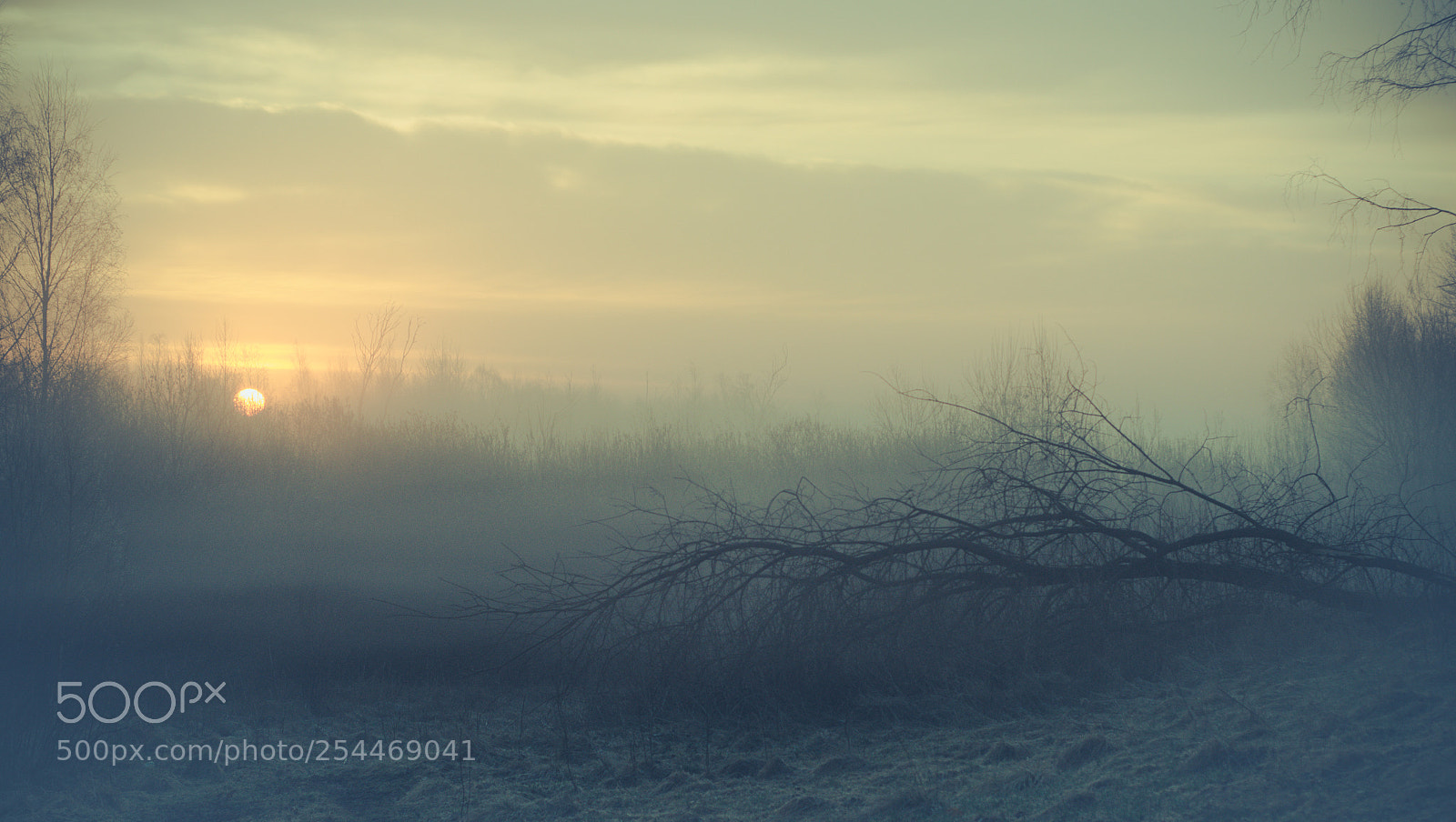 Nikon D7000 sample photo. Dark misty foggy morning photography
