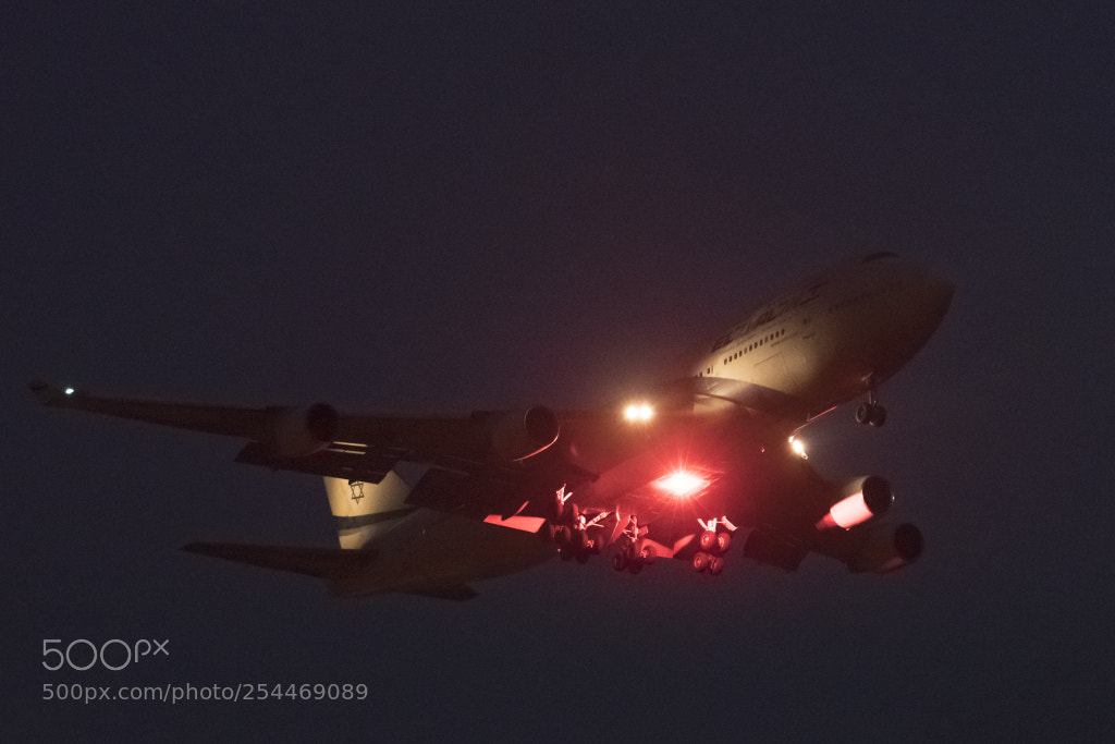 Nikon D500 sample photo. Gear down photography