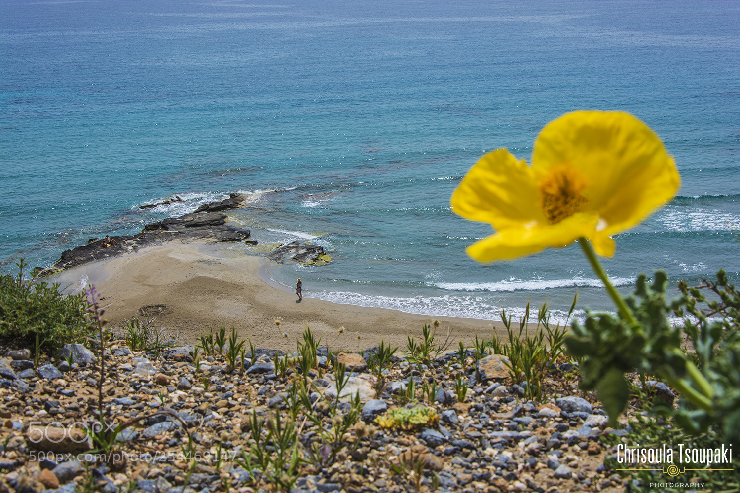 Nikon D5200 sample photo. 14/4/18 photography