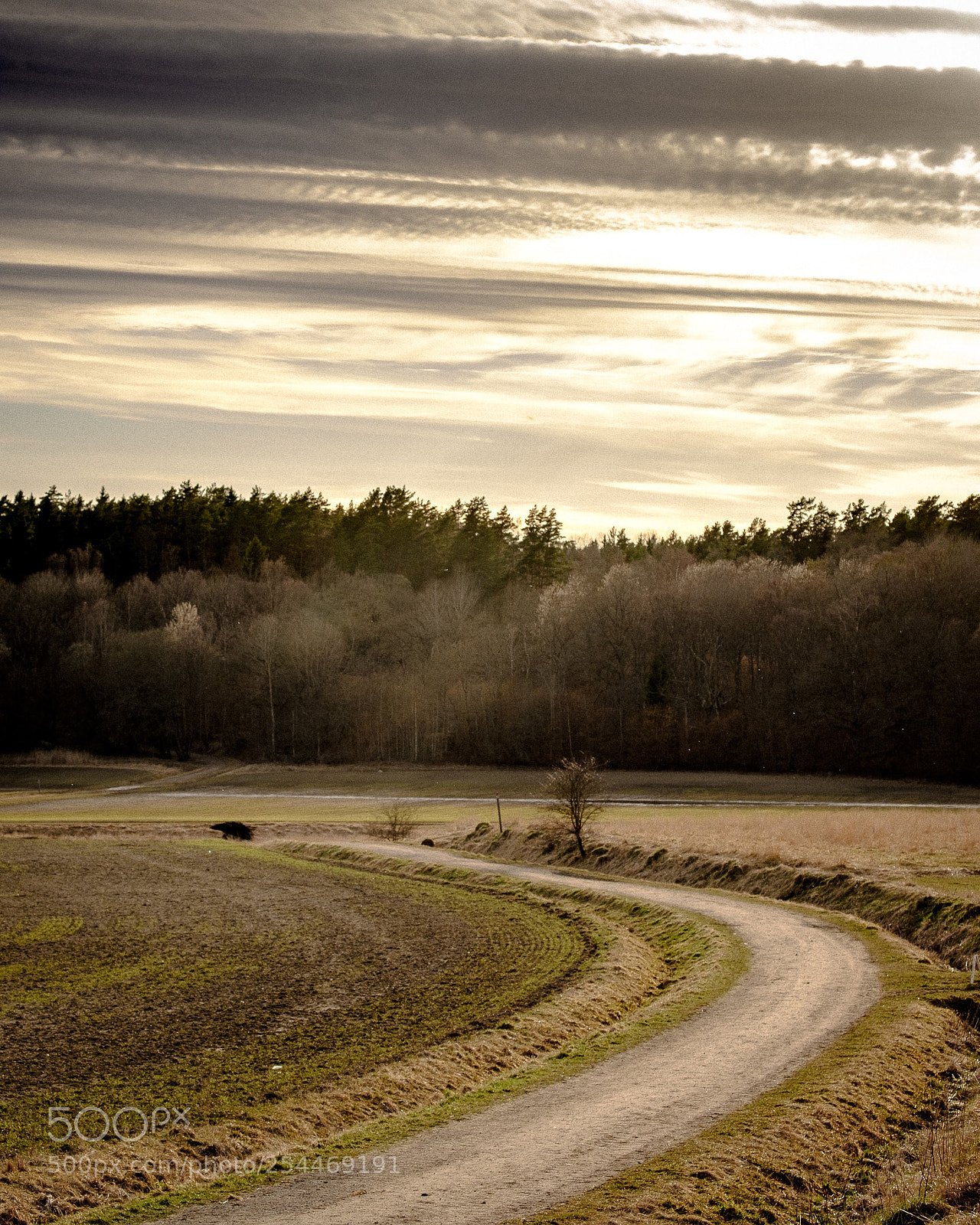 Fujifilm X-H1 sample photo. Uppsala photography