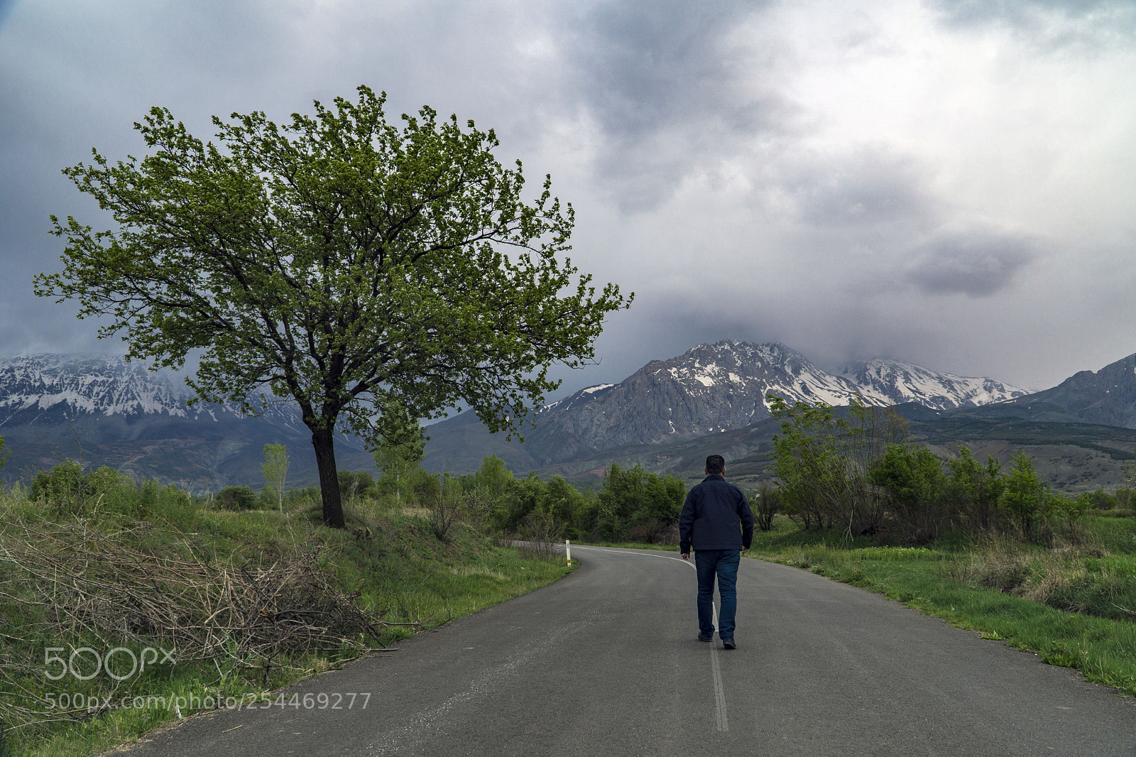 Sony a6000 sample photo. Towards the mountains photography