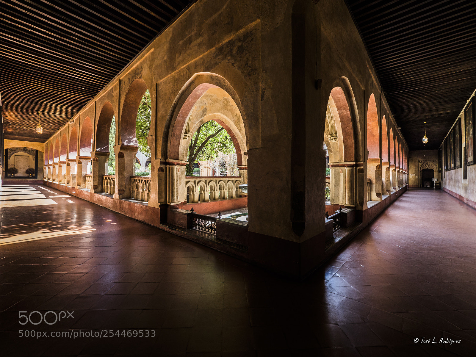 Olympus OM-D E-M1 Mark II sample photo. Claustro de guadalupe photography