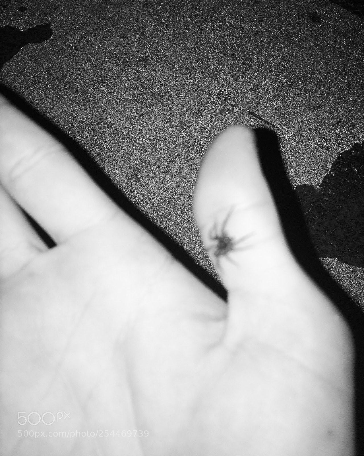 Apple iPhone 5s sample photo. Untitled photography