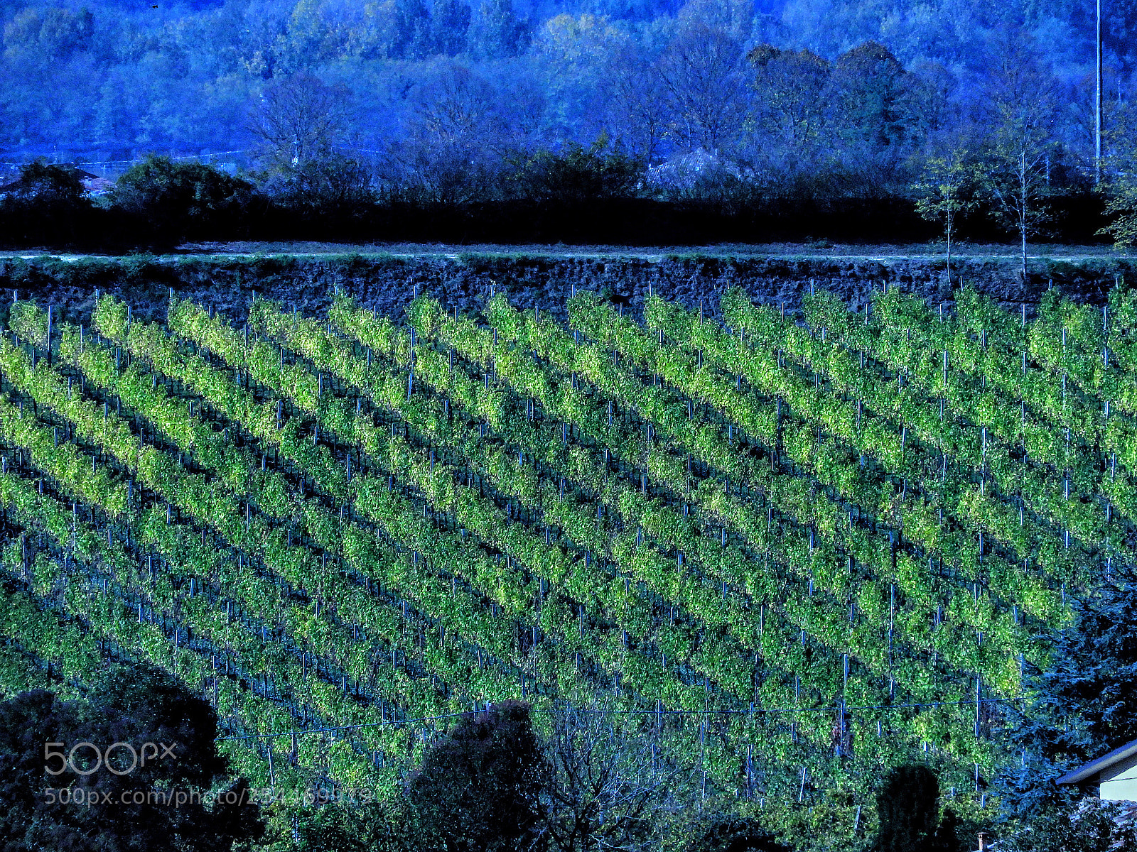 Nikon Coolpix B700 sample photo. Well balanced in blue photography