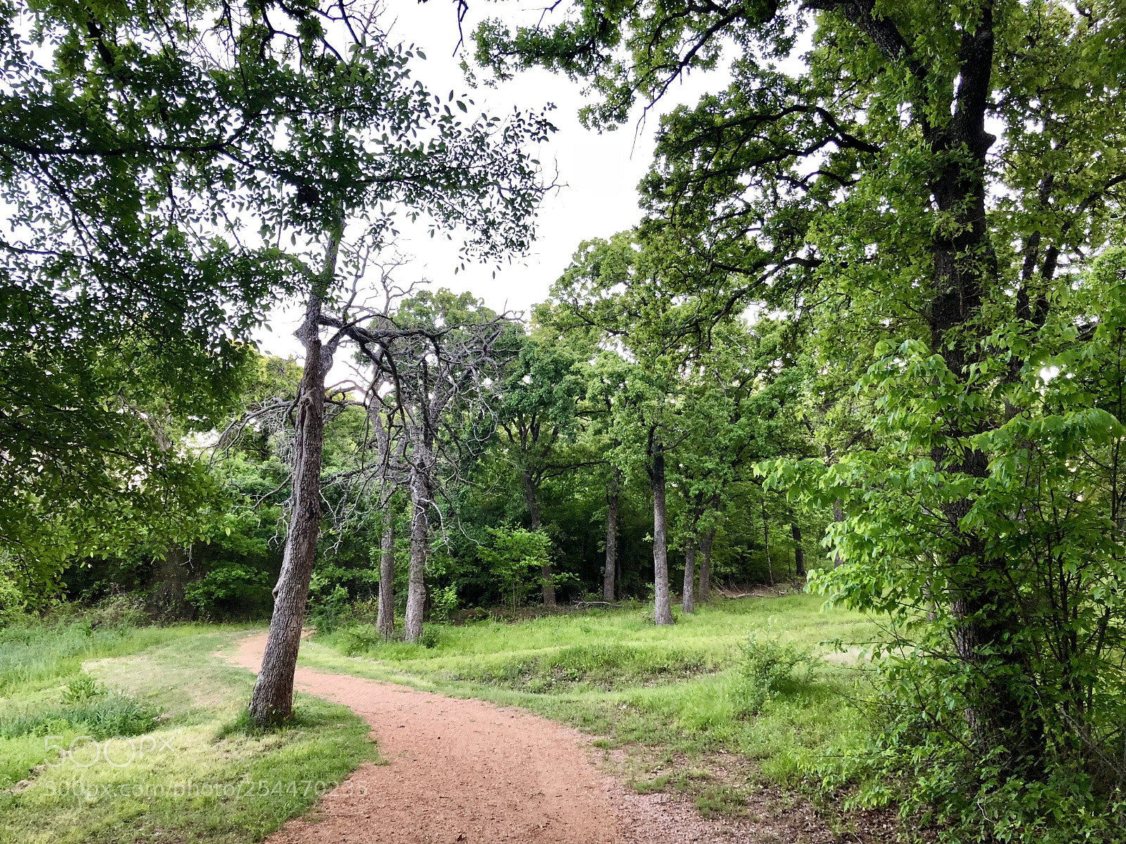 Apple iPhone X sample photo. Quiet place photography