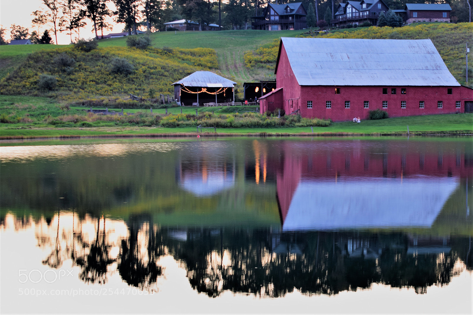 Nikon D3300 sample photo. Reflection of a red photography