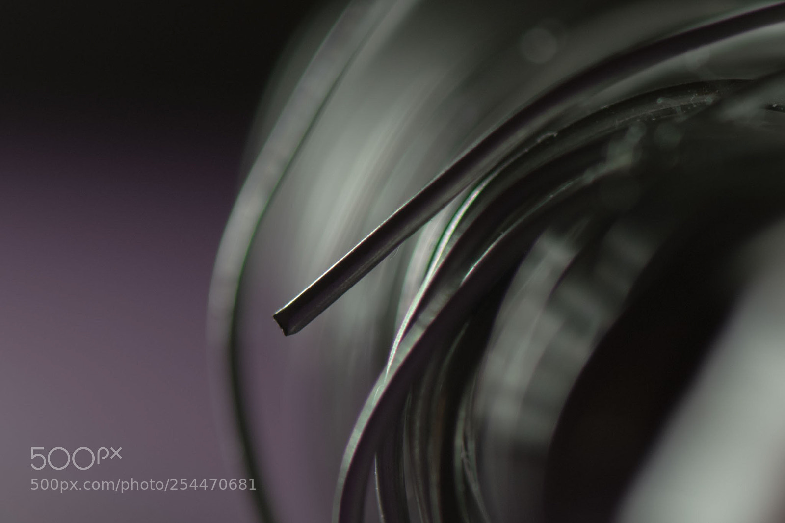Nikon D5300 sample photo. Wire 3 photography