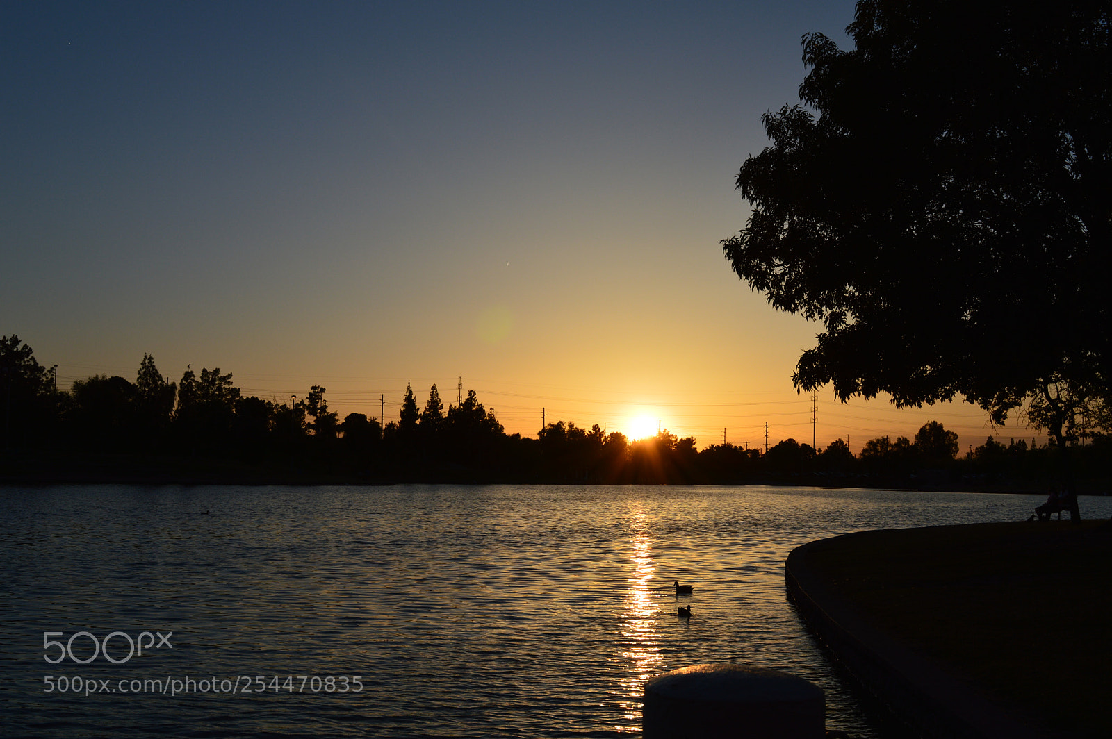 Nikon D3200 sample photo. Sunset by lake photography