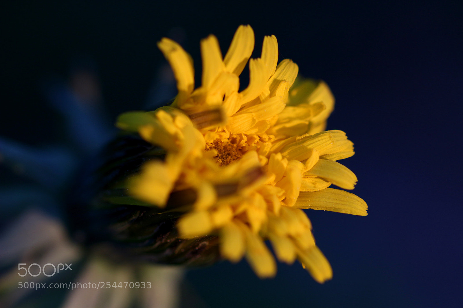 Canon EOS 100D (EOS Rebel SL1 / EOS Kiss X7) sample photo. Explosion... photography