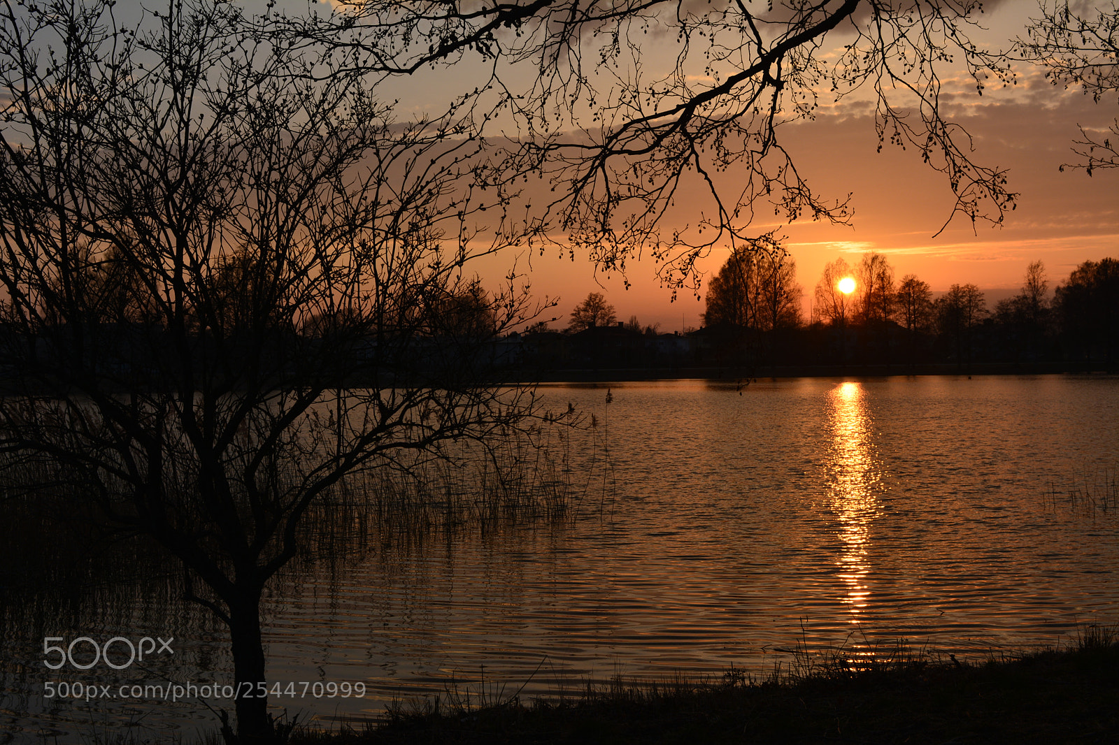 Nikon D5200 sample photo. Amazing sunset photography