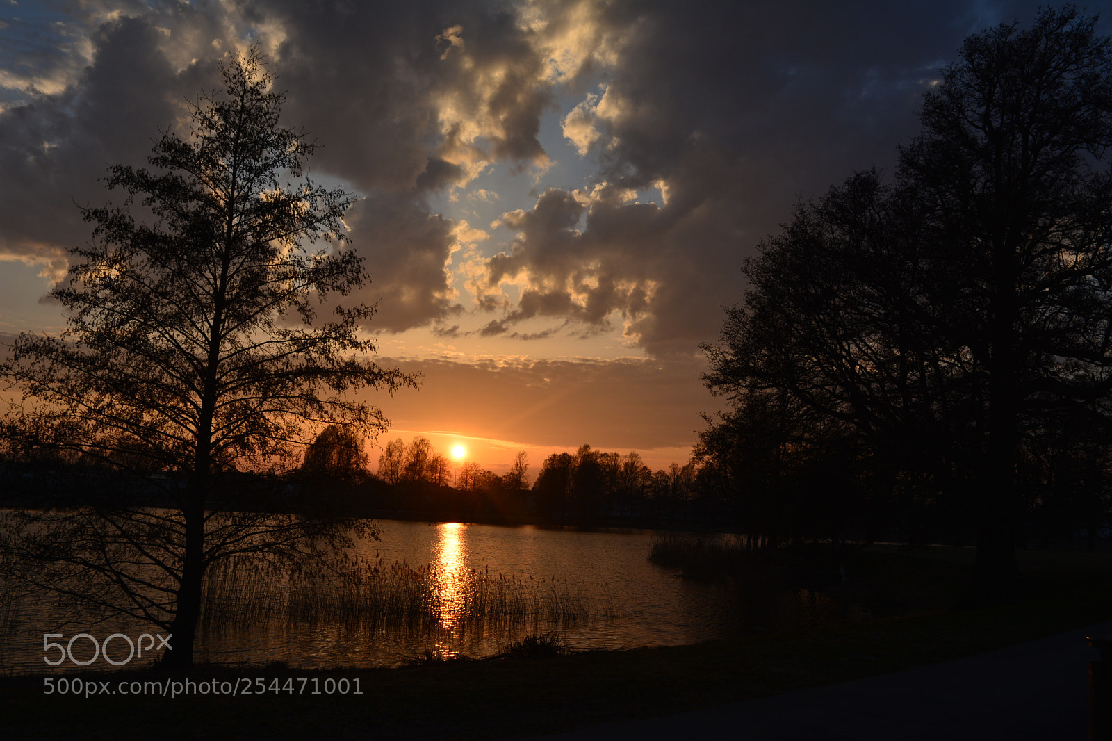 Nikon D5200 sample photo. Amazing sunset photography