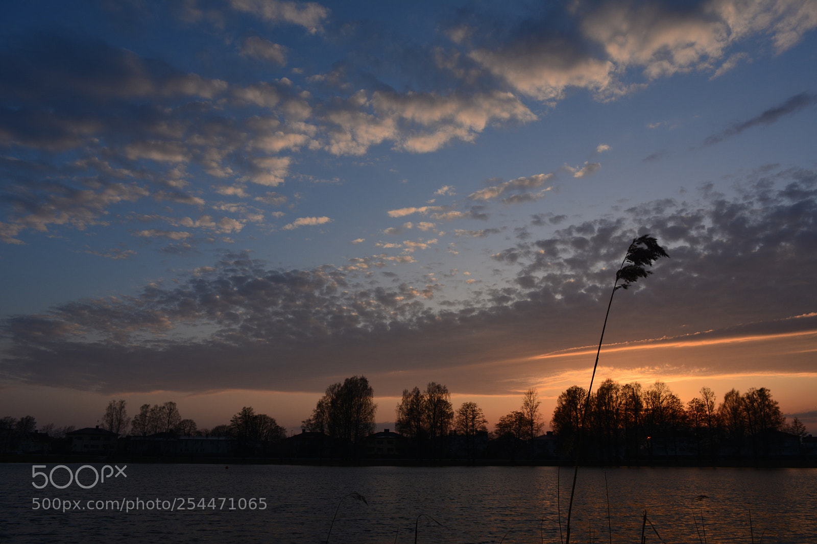 Nikon D5200 sample photo. Amazing sunset photography