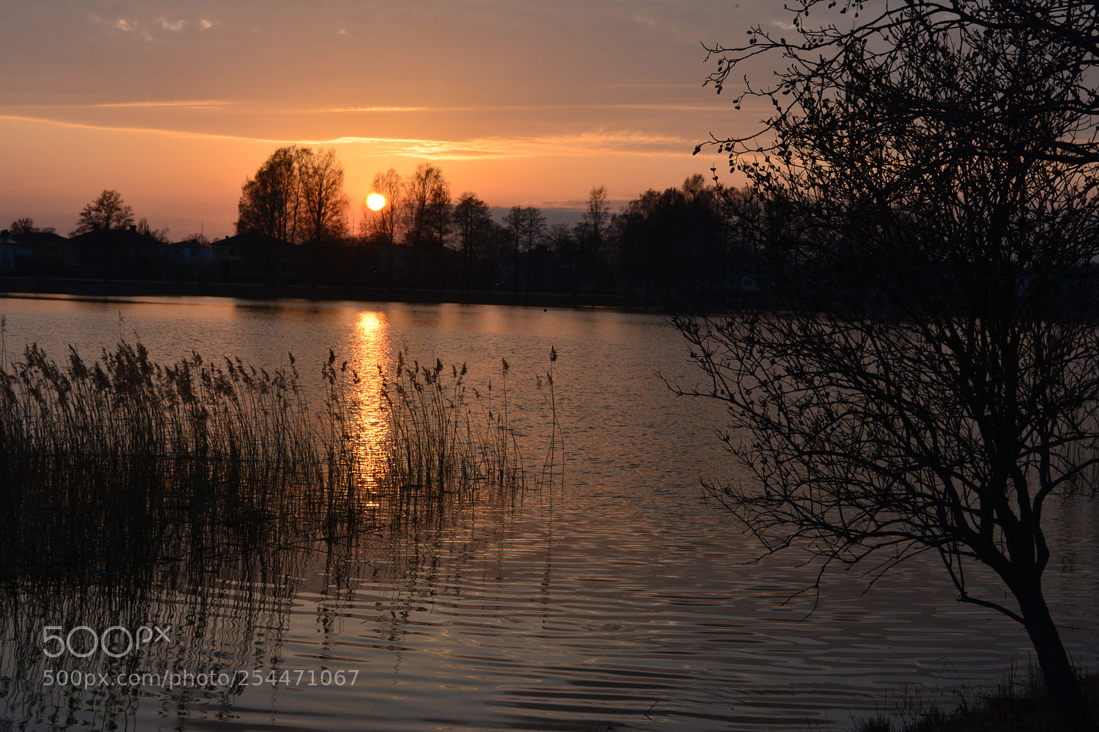 Nikon D5200 sample photo. Amazing sunset photography